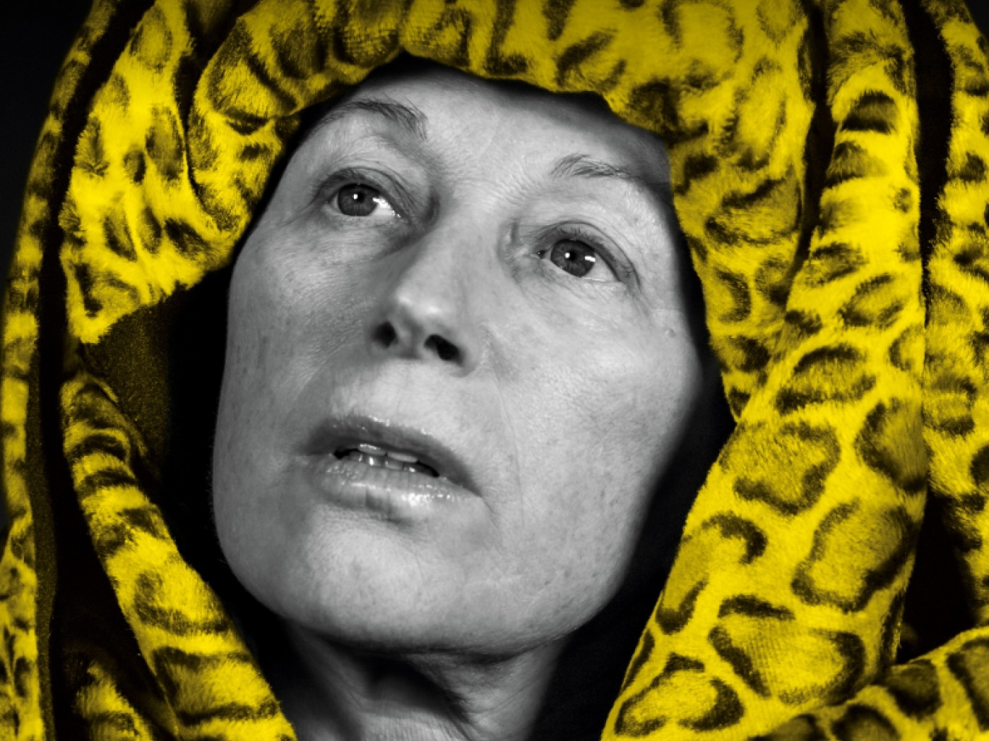 Cindy Sherman designs poster for 79th Locarno Film Festival