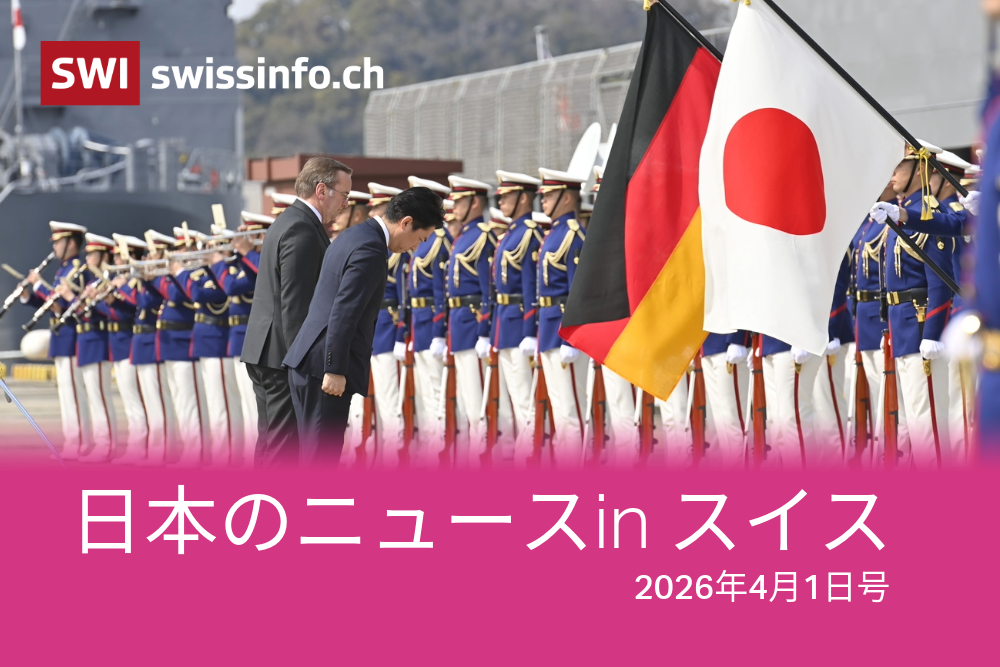 国旗に向かって敬礼する日独防衛相