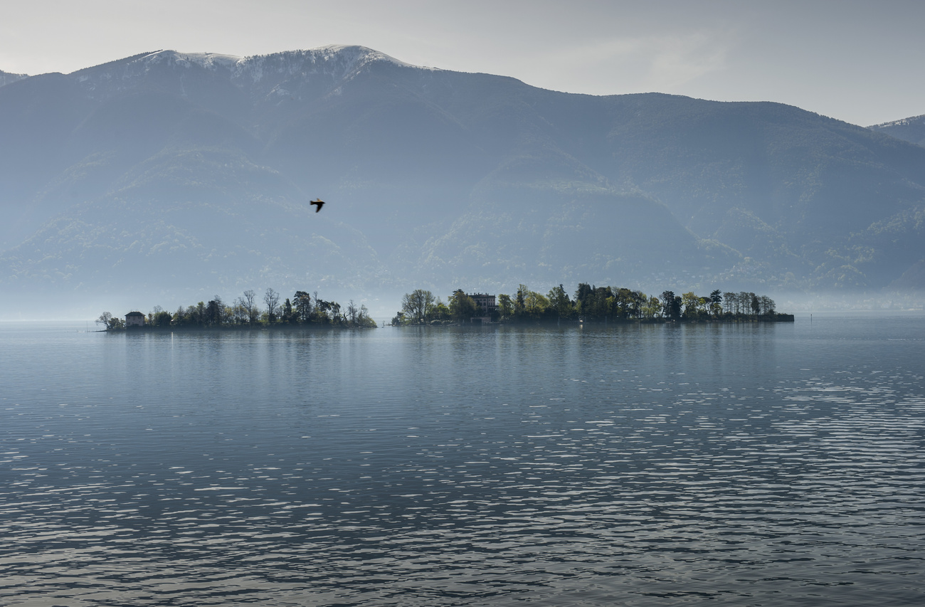 Vista sulle isole di Brissago, lago Maggiore.