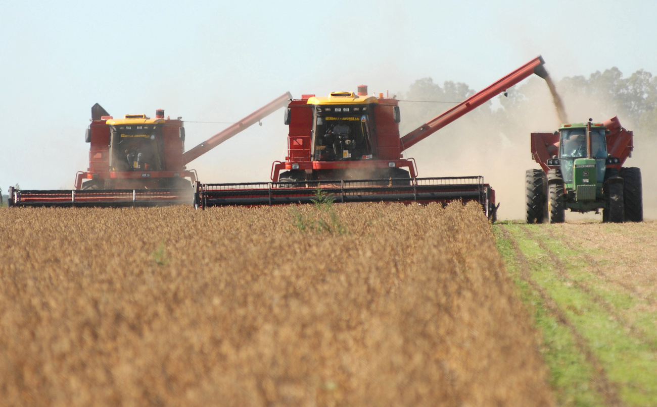 Inquiétant: les Verts et les agriculteurs réclament des mesures d'accompagnement pour le libre-échange avec l'Amérique du Sud.