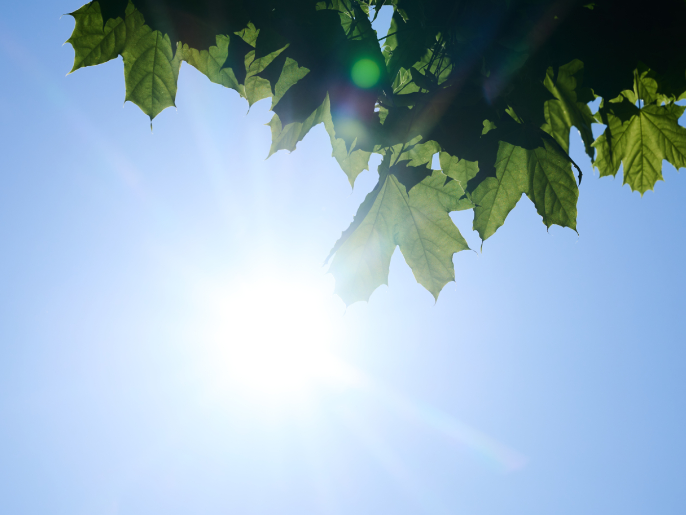 Summer weather causes high ozone levels in Central Switzerland