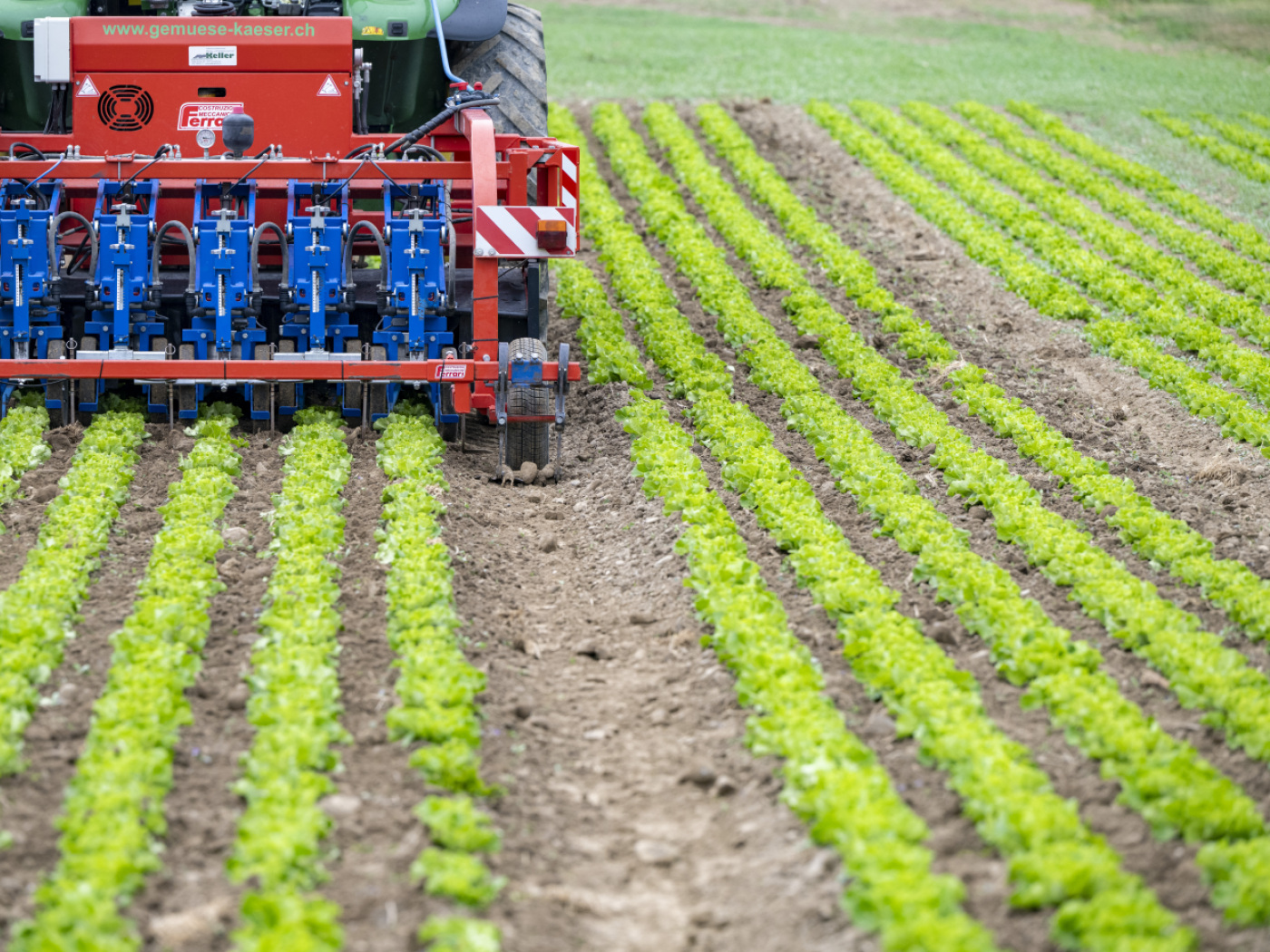 Federal support for agriculture affected by trade agreements