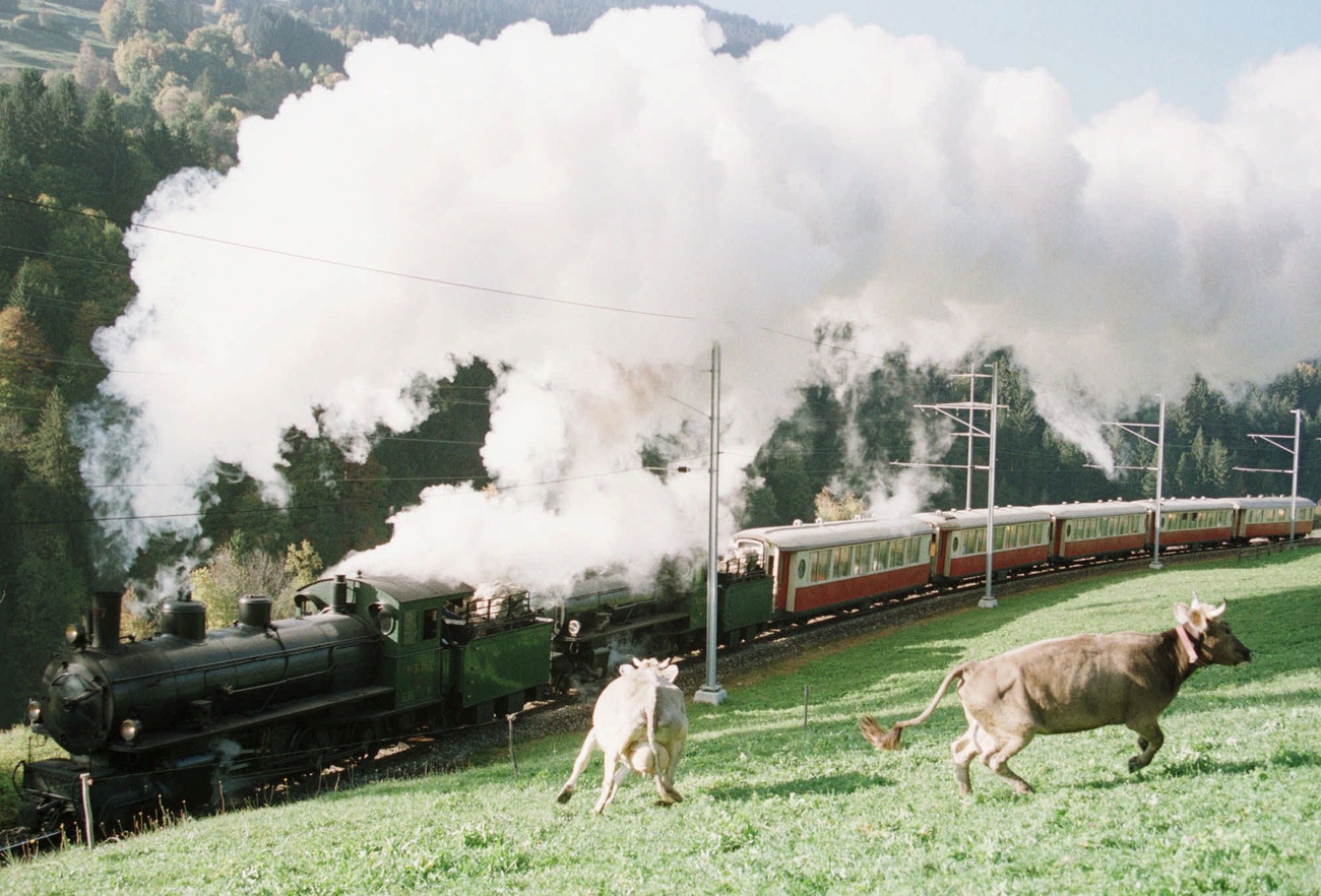 Un treno a vapore d'epoca passa davanti a delle mucche che scappano spaventate.