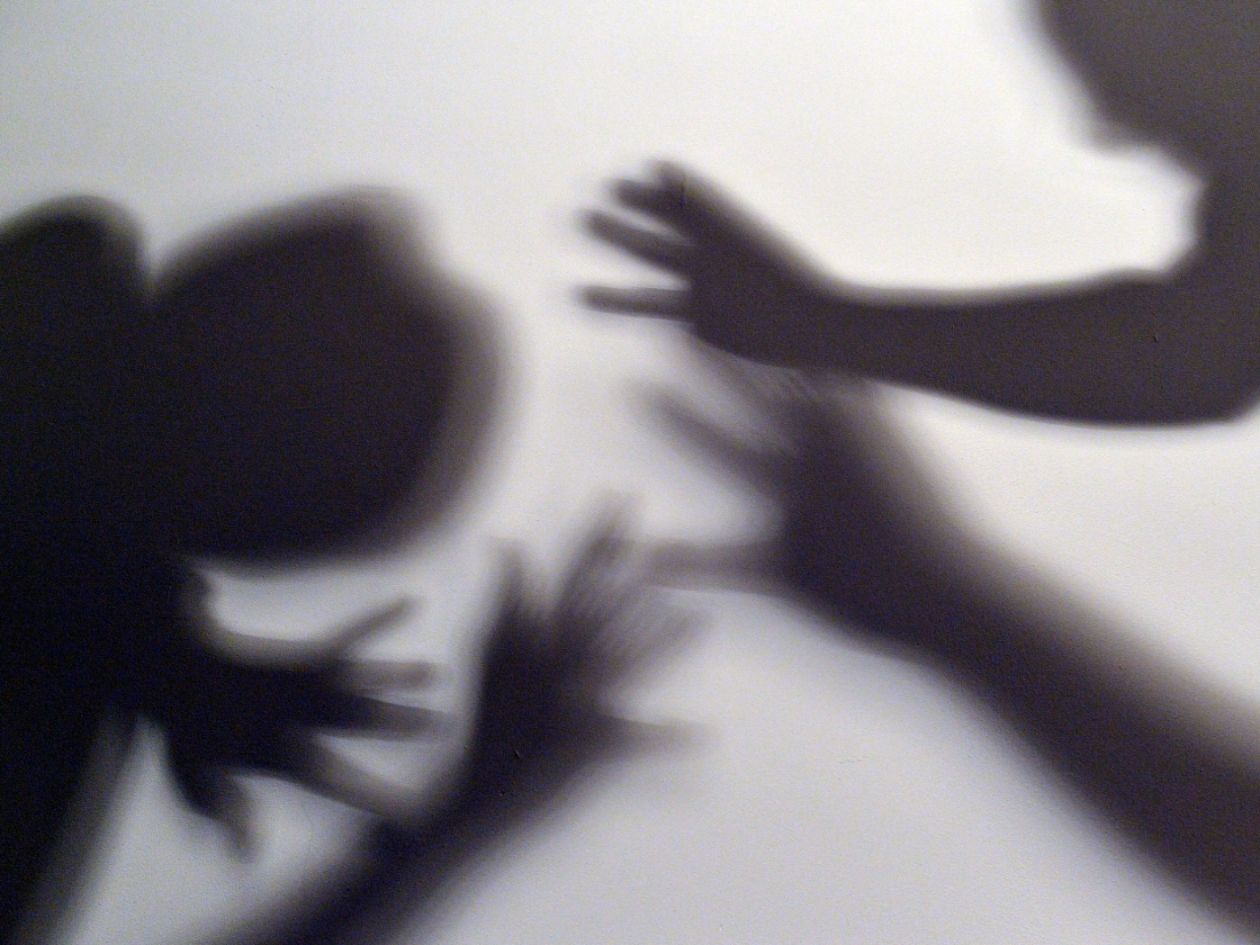 Domestic violence: towards "dynamic" monitoring