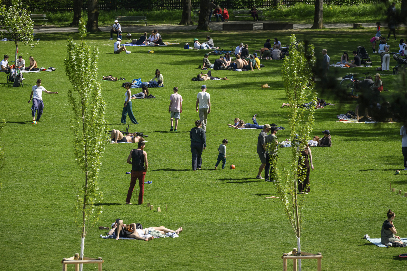 people on field