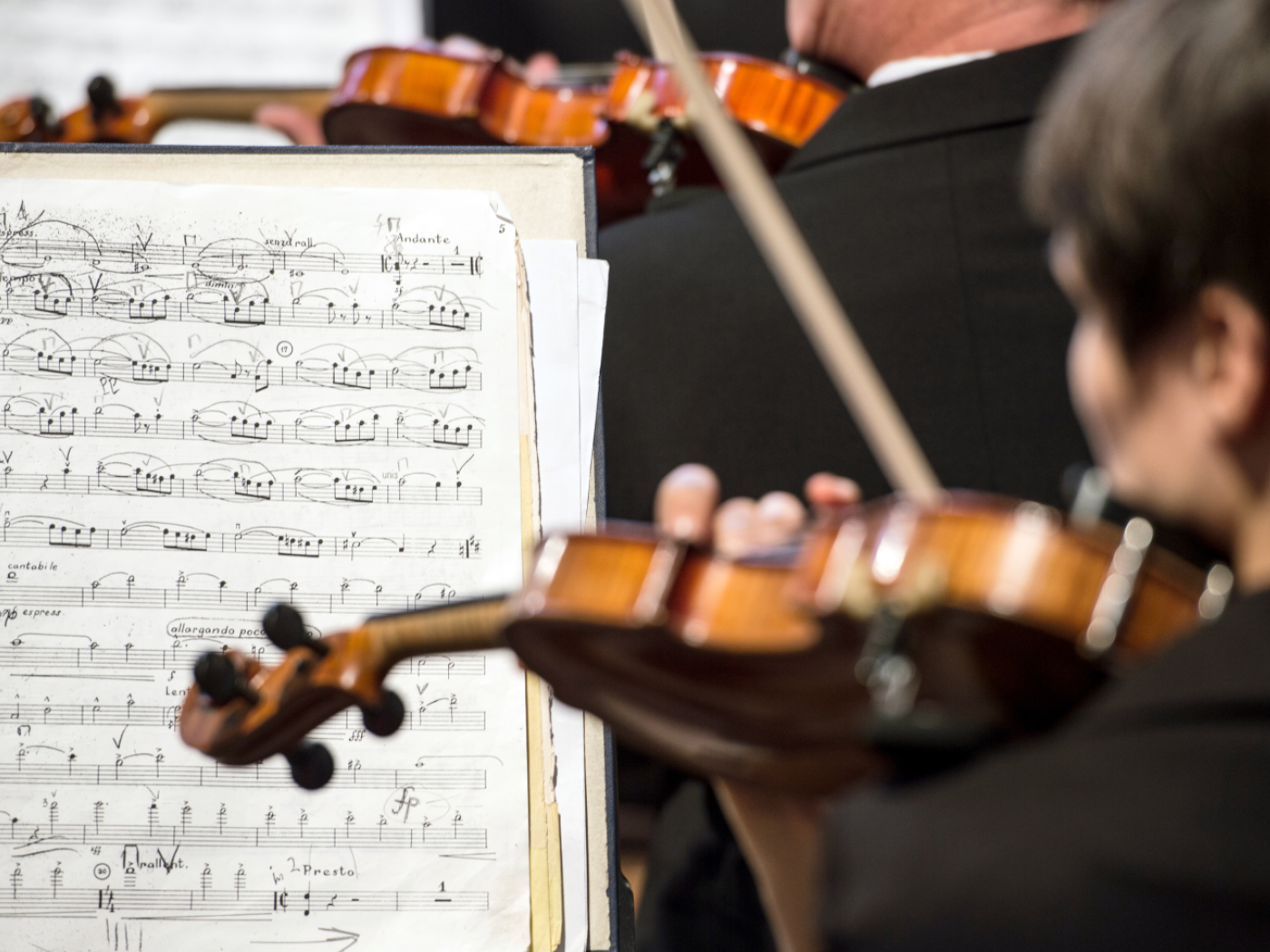The number of creative artists in Switzerland has decreased