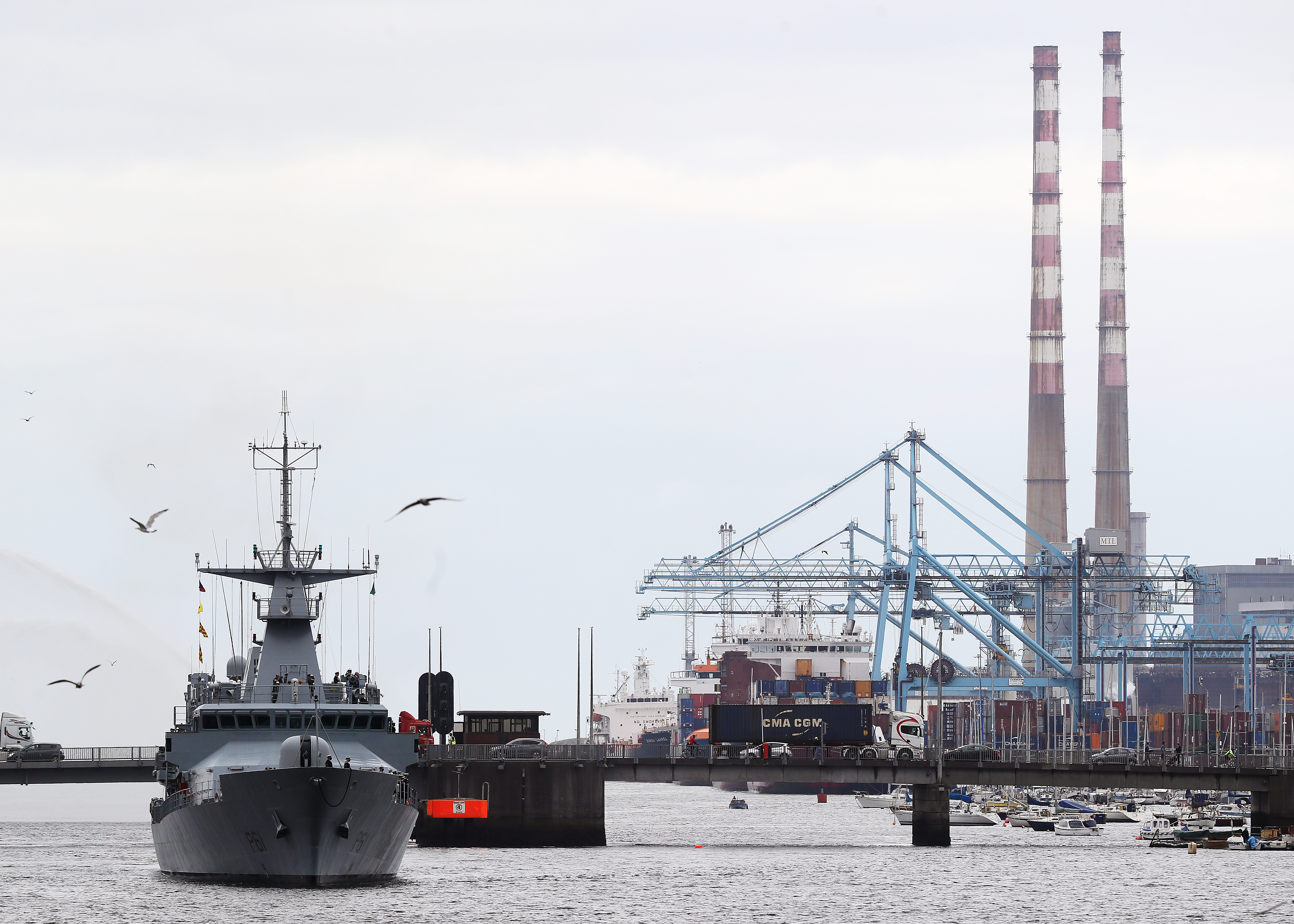 A battleship in a harbor, flanked by seagulls