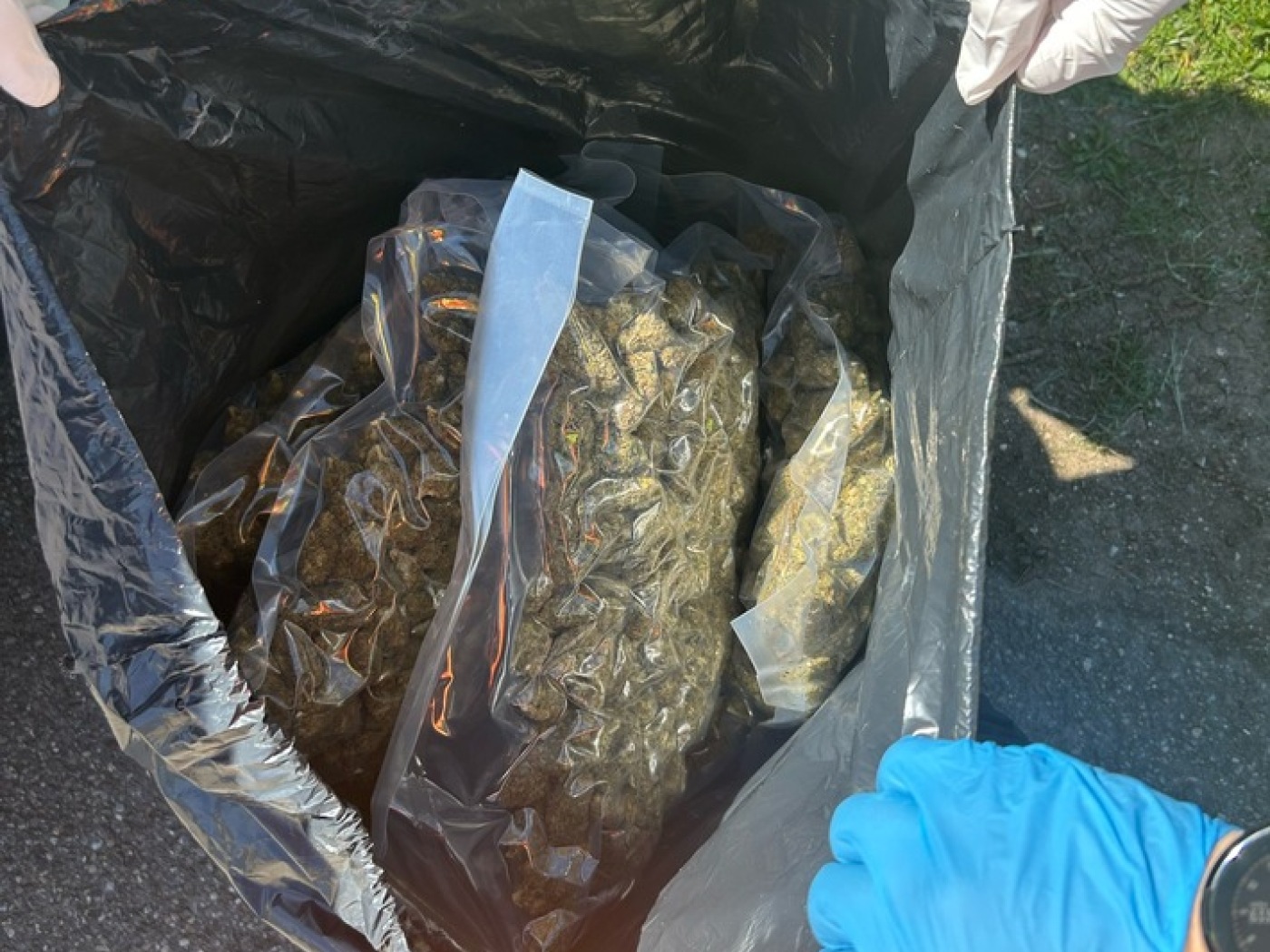 sacchi riempiti di marijuana