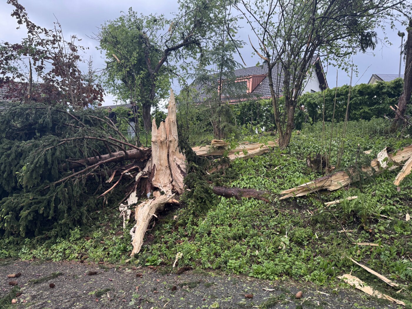 Blitz schlägt in St. Gallen ein: Hoher Sachschaden, keine Verletzten — image 3