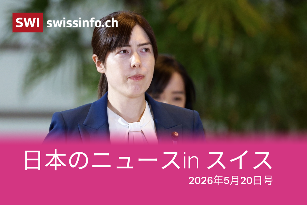 小野田紀美