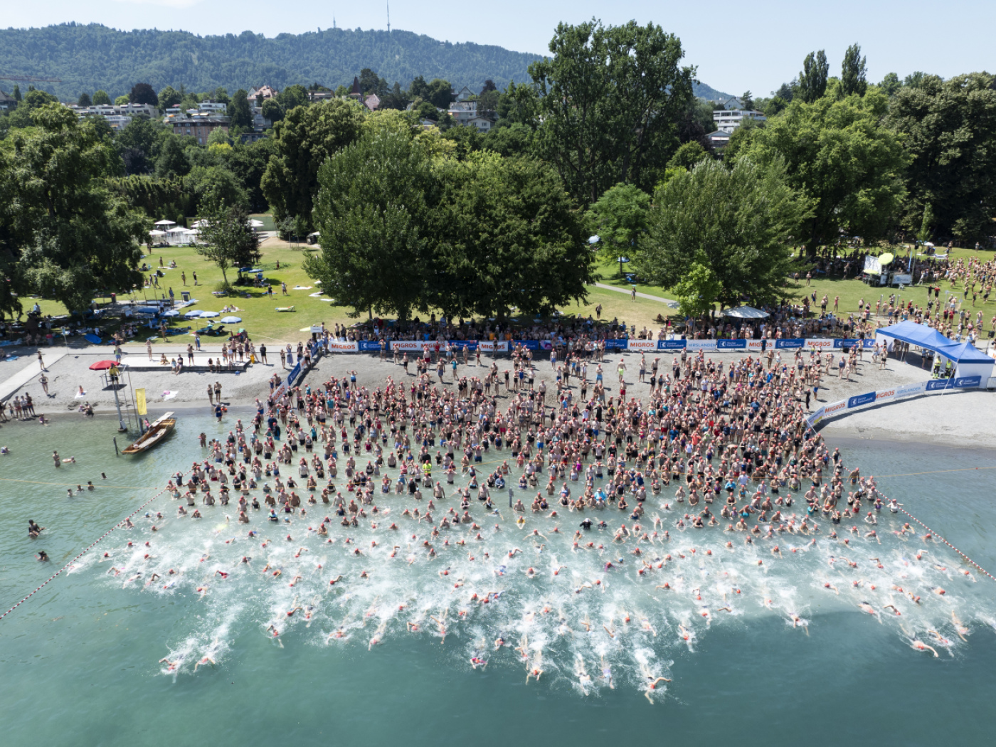 Swimmers