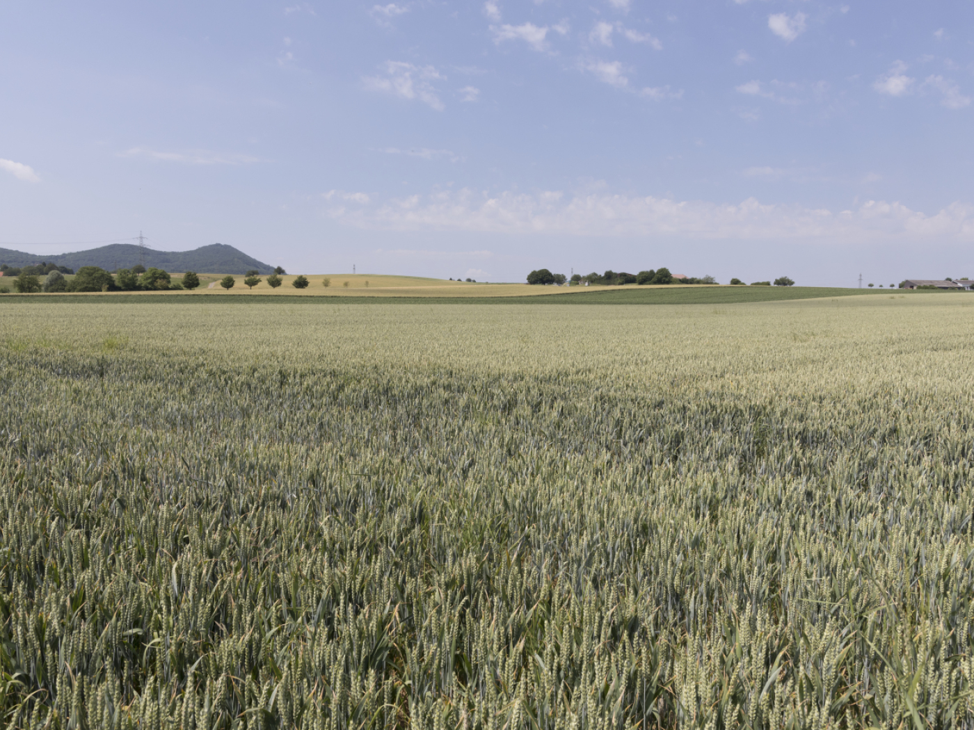 Sustainable investing robust in Switzerland