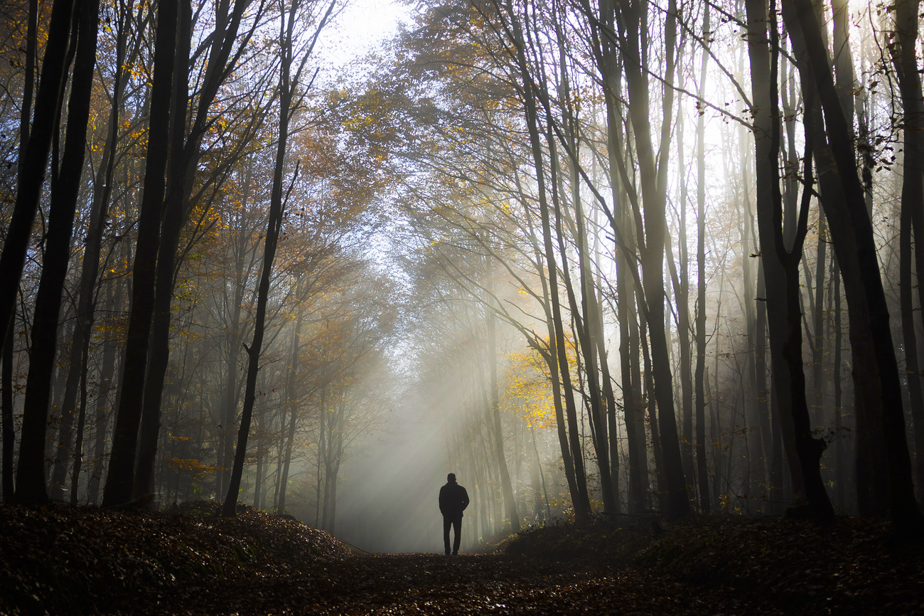 Ein Mann spaziert durch einen Wald