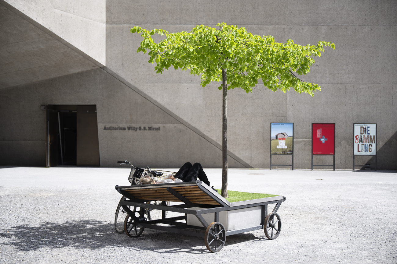 Signora seduta sotto albero