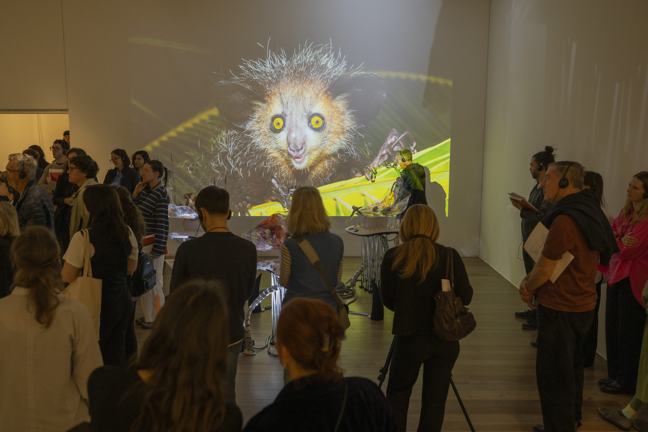 Installazione artistica