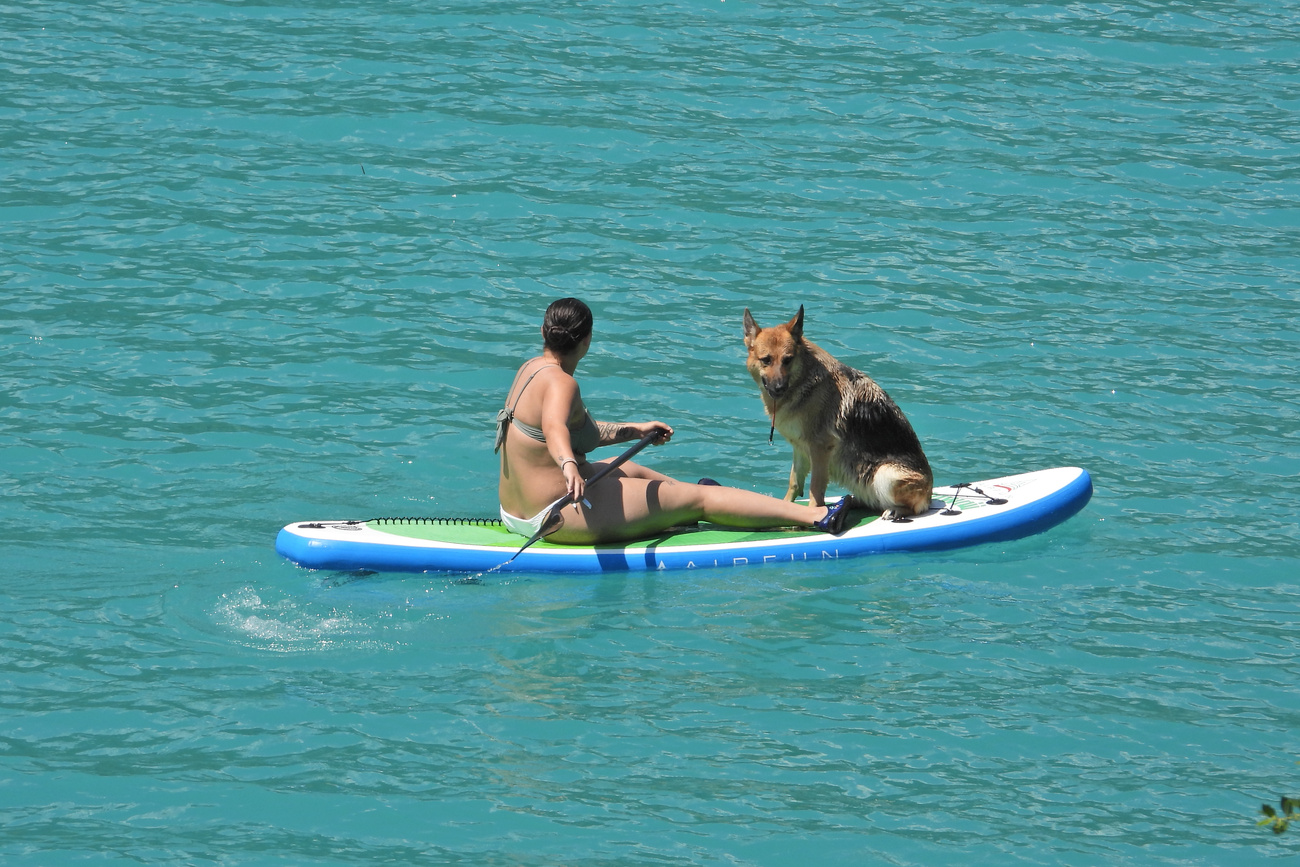 Une femme et son chien sur un paddle