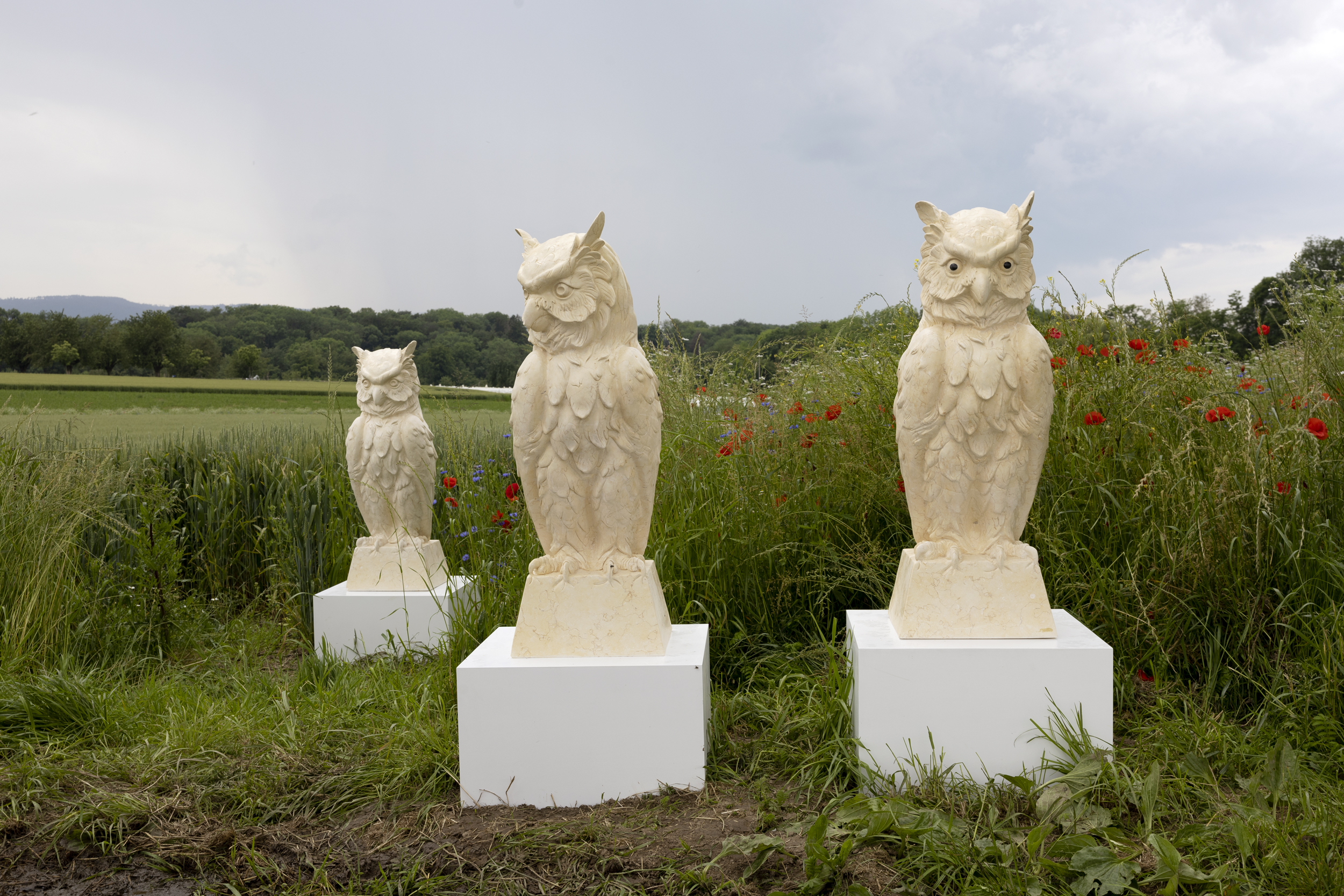 Basel Social Club year 3, "Farm" (2024): an installation by American artist Julia Scher in the meadows. Scher works primarily with themes of surveillance.
