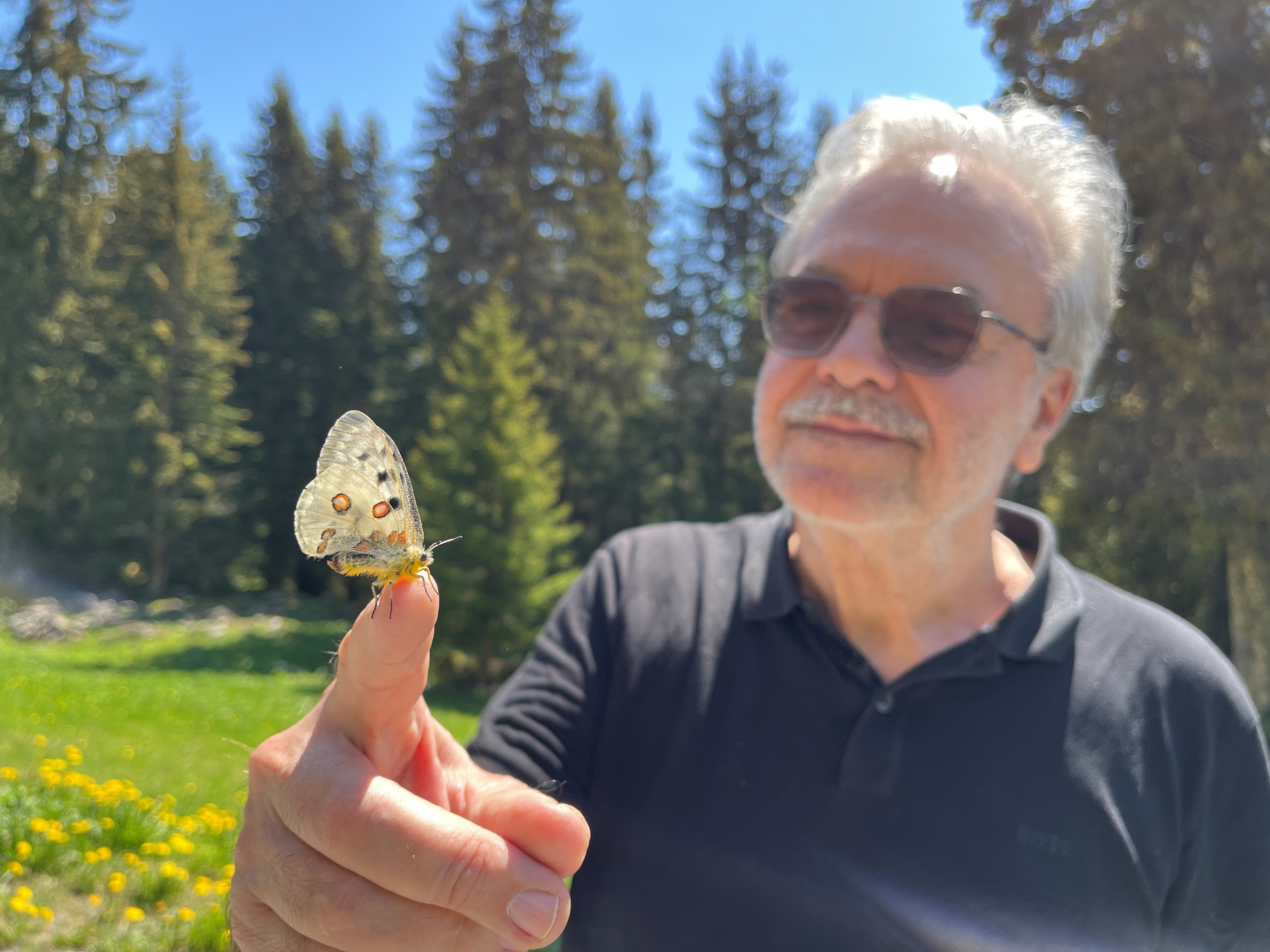 Mann der einen Schmetterling auf dem Finger hält
