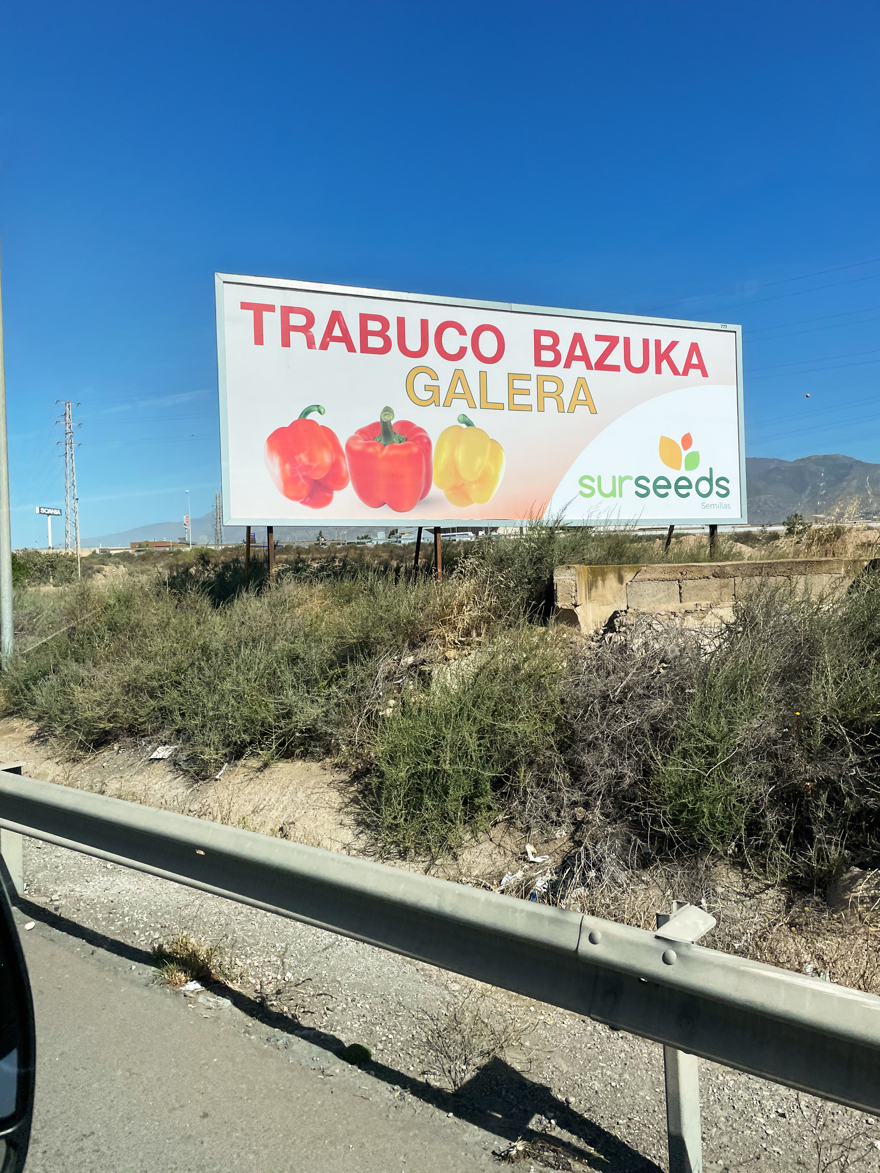 billboard