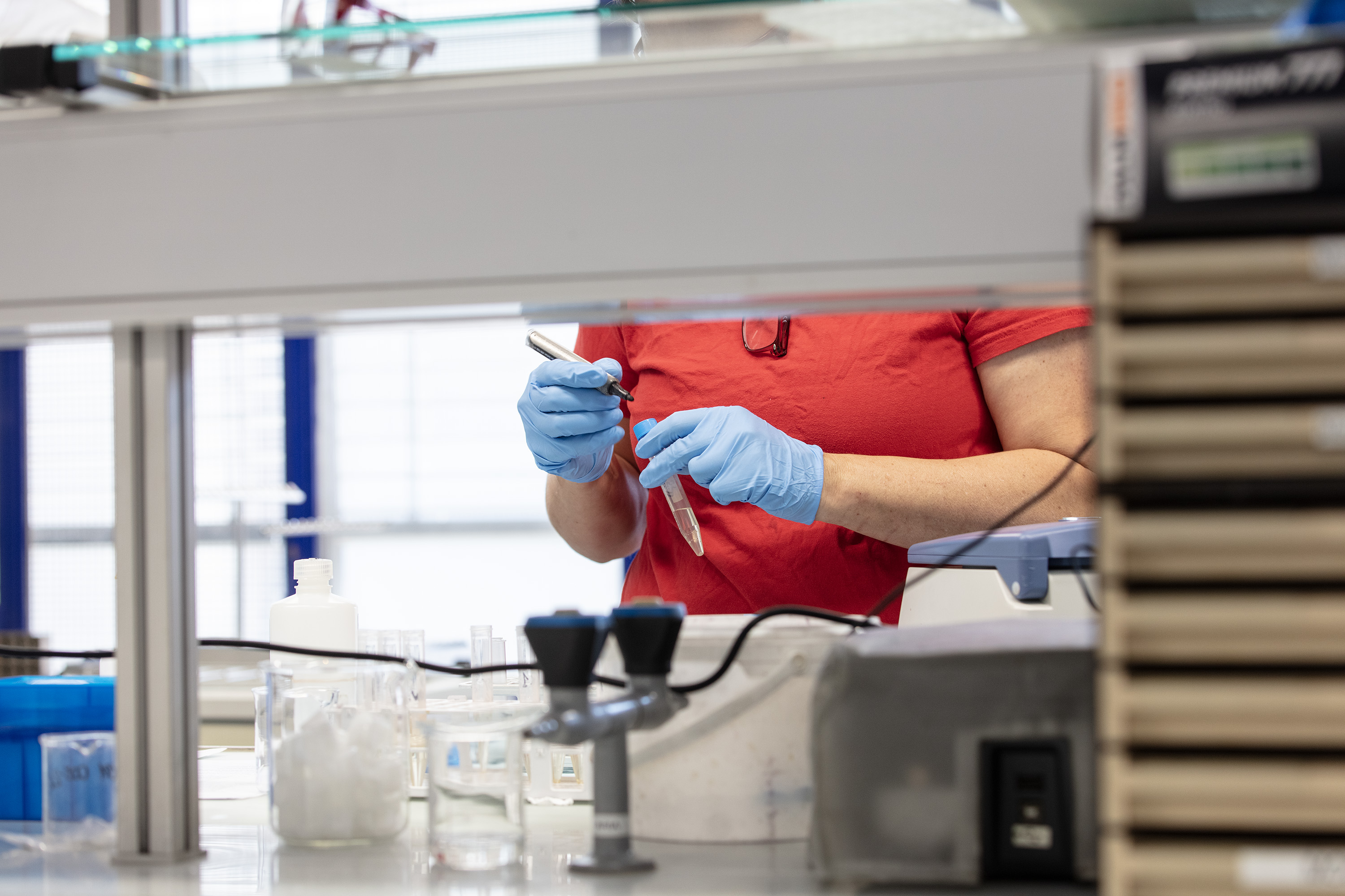 Lab