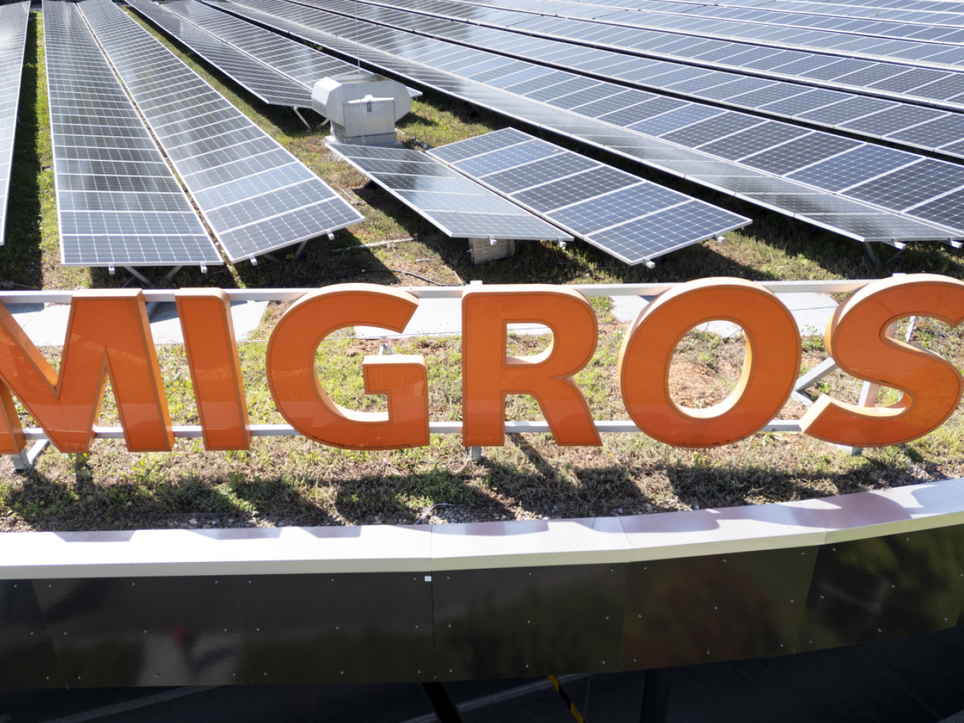 Animalisti contro pubblicità Migros, “altro che benessere animale”