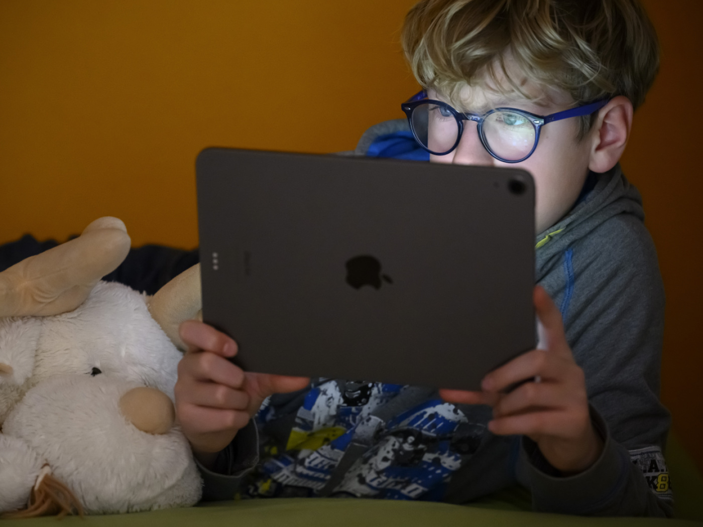 New network in French-speaking Switzerland to steer children away from an ‘all-digital’ lifestyle