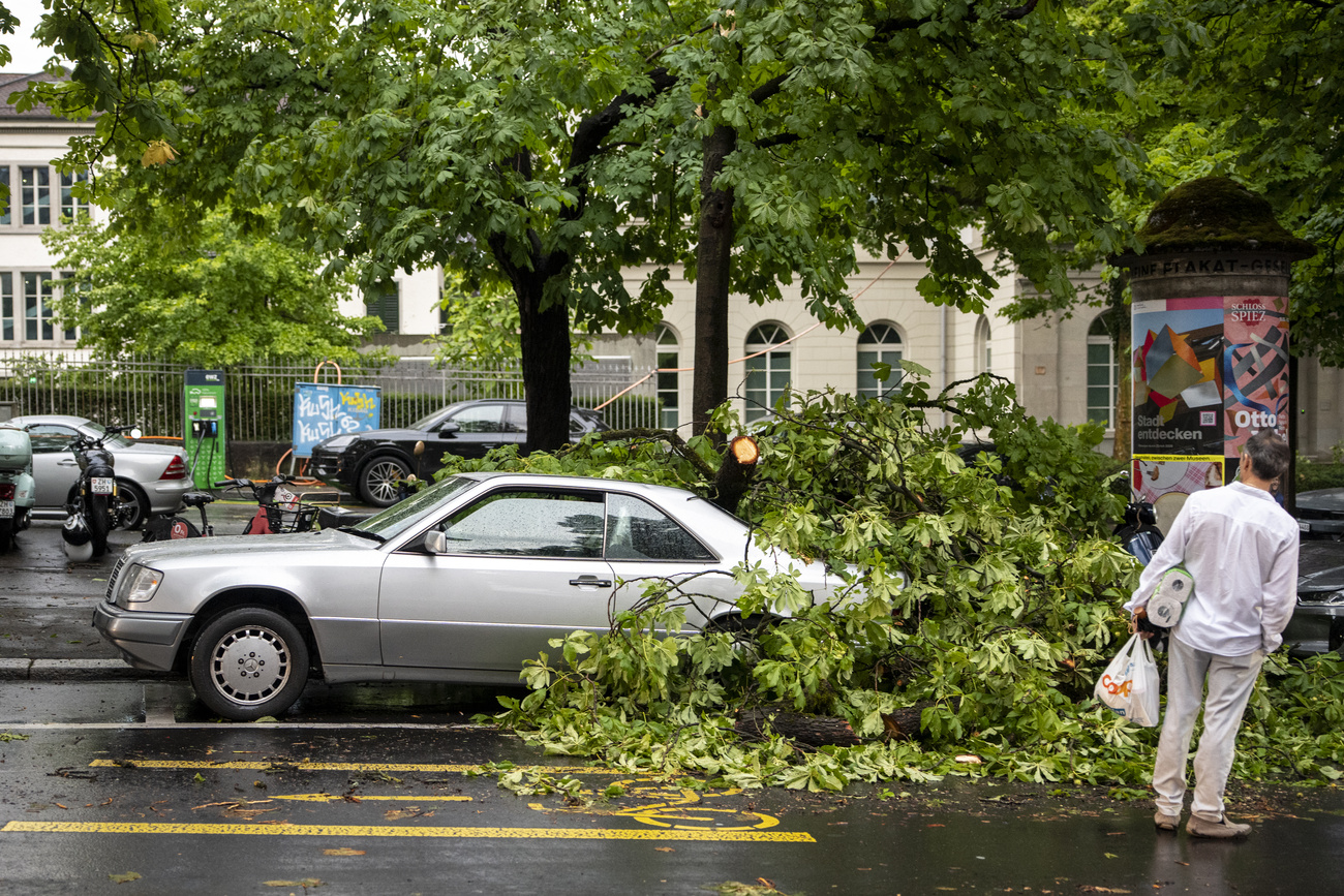 The storm tore down trees in Zurich