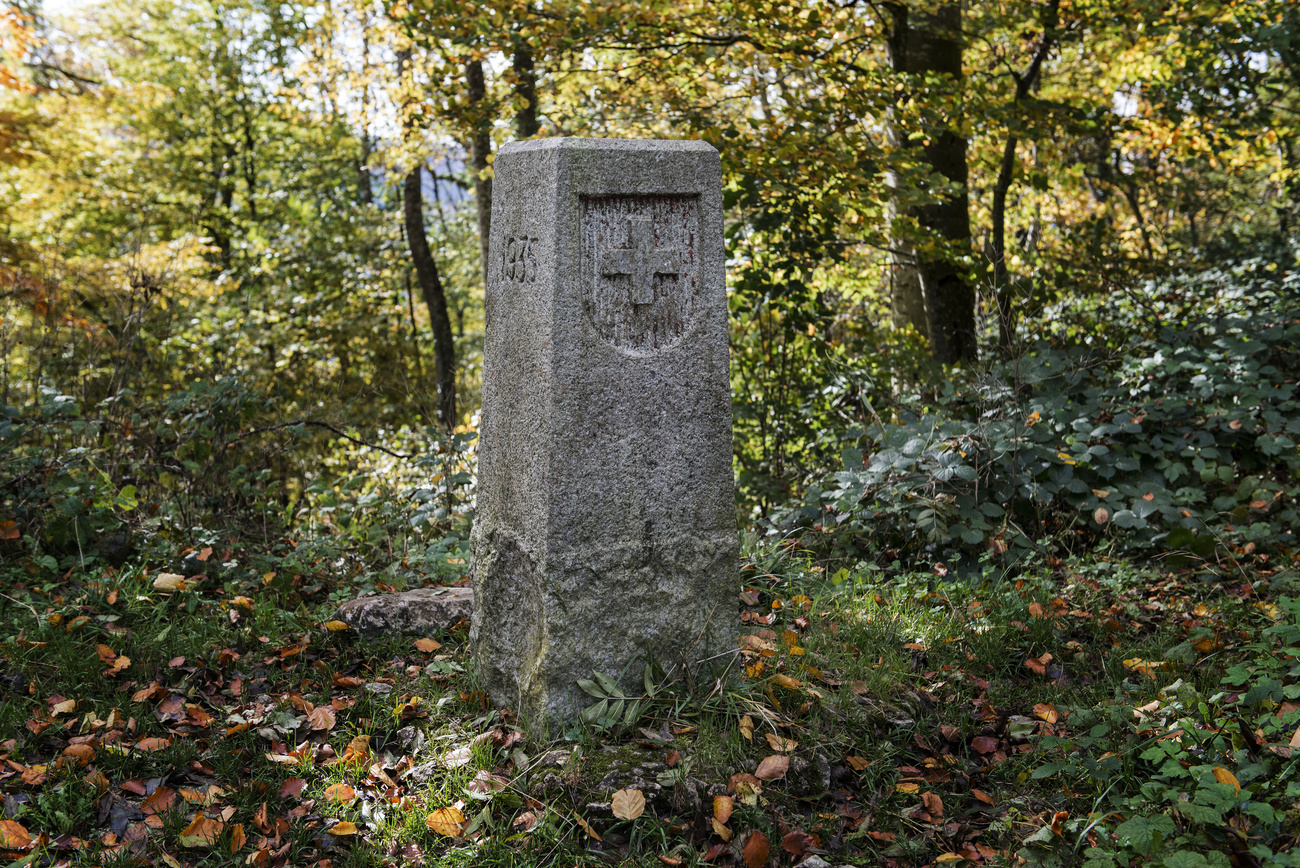 Una lapide in un bosco