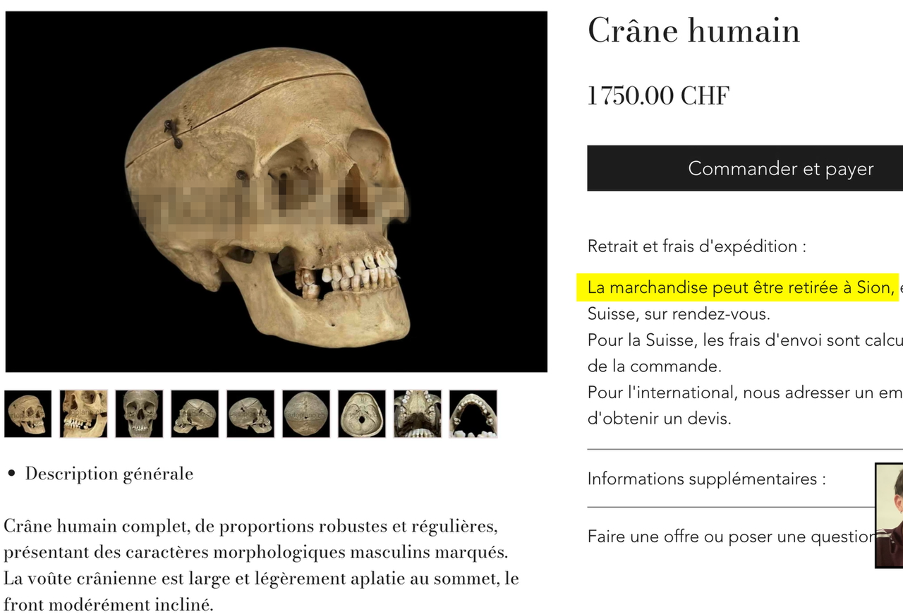 Annonce pour la vente d'un crâne sur un site web