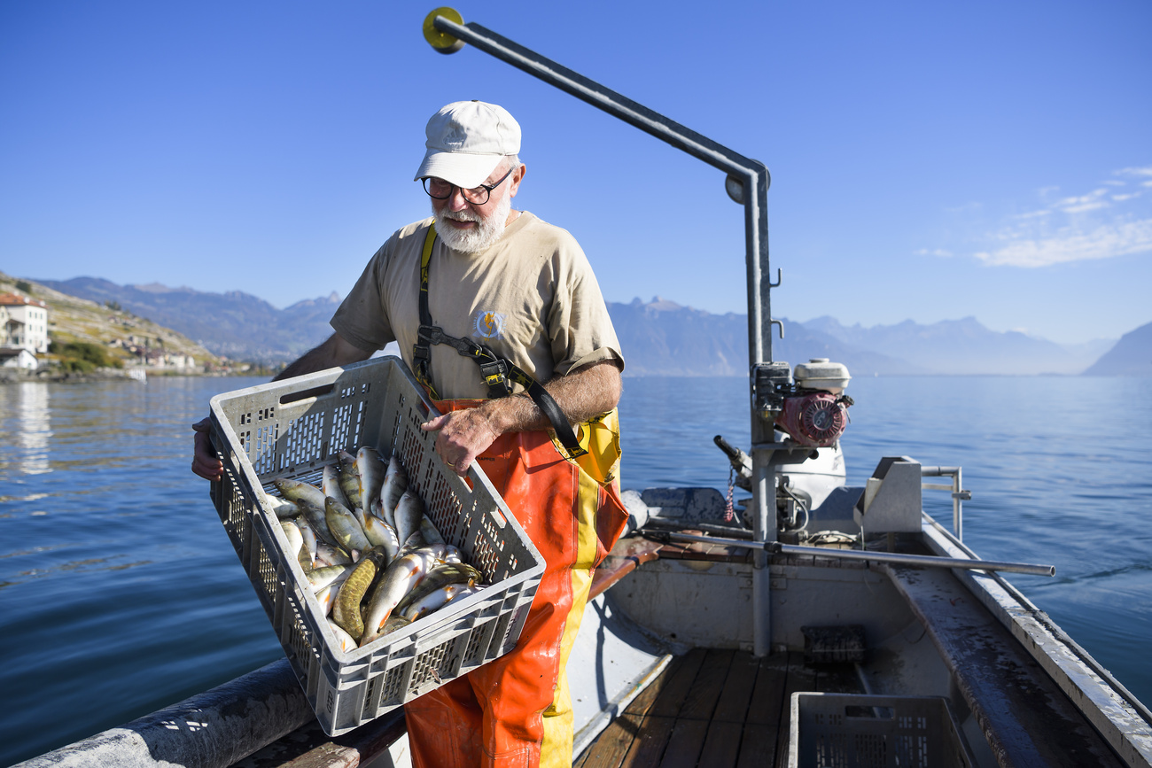 Pescatore