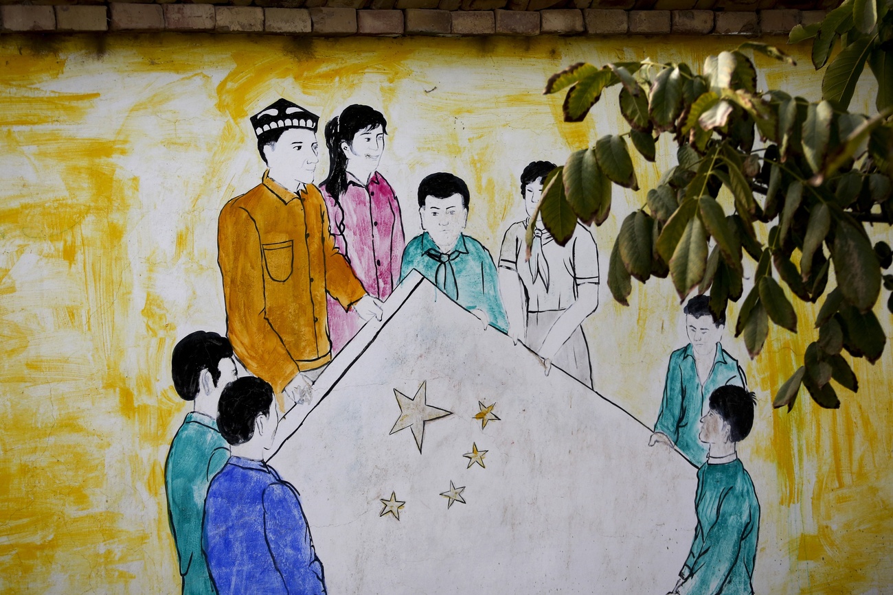 人权机构担忧，这项法律将进一步削弱少数民族的语言、文化特色，加快同化进程。