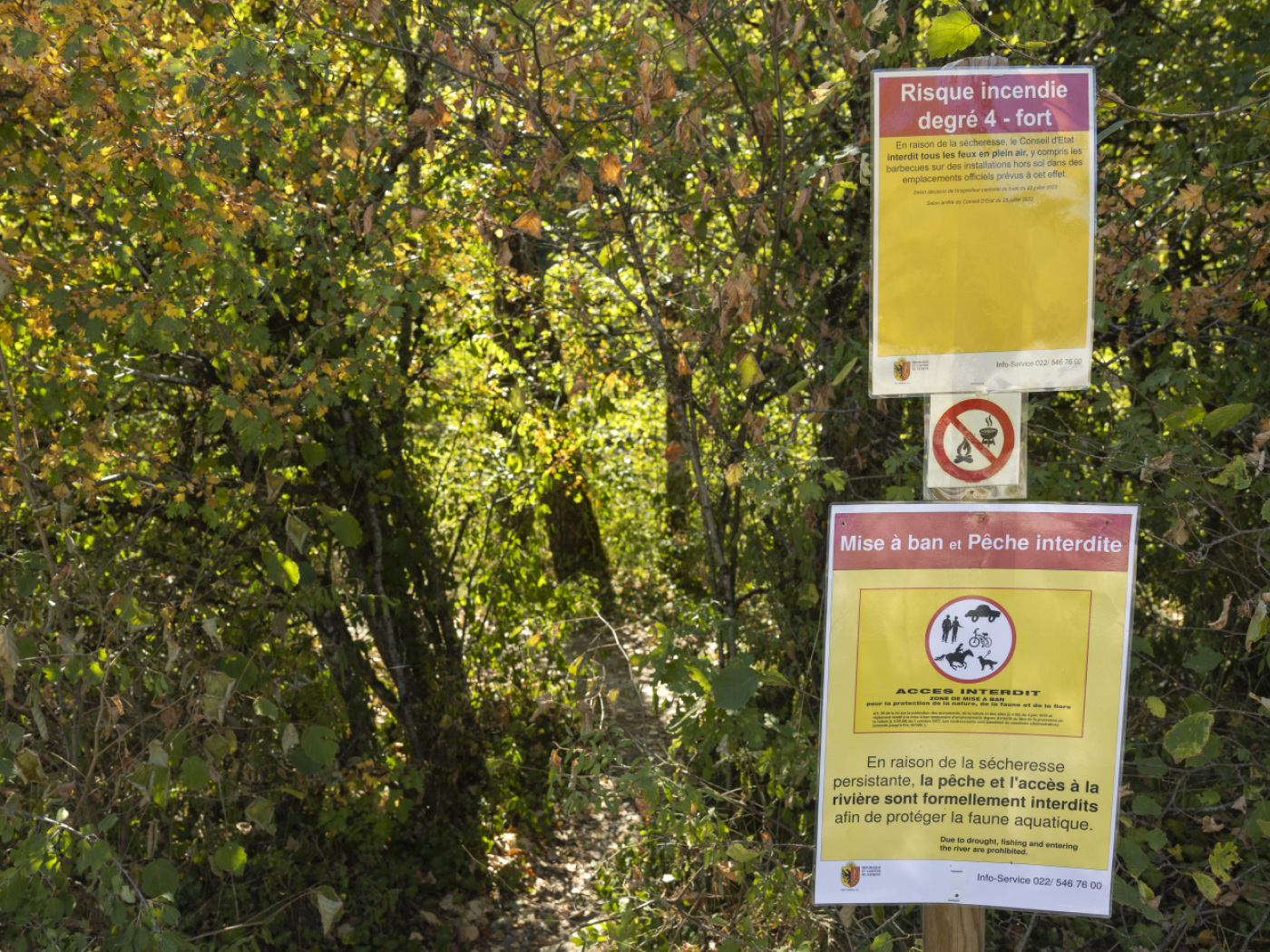 The forest fire risk level in Geneva has risen to 4 out of 5