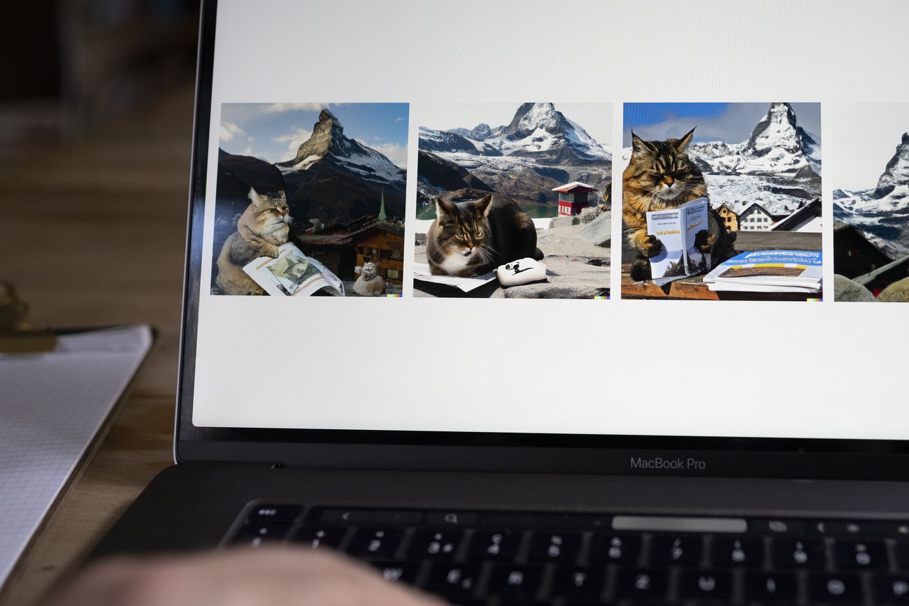 Katzenbilder mit KI generiert auf Bildschirm