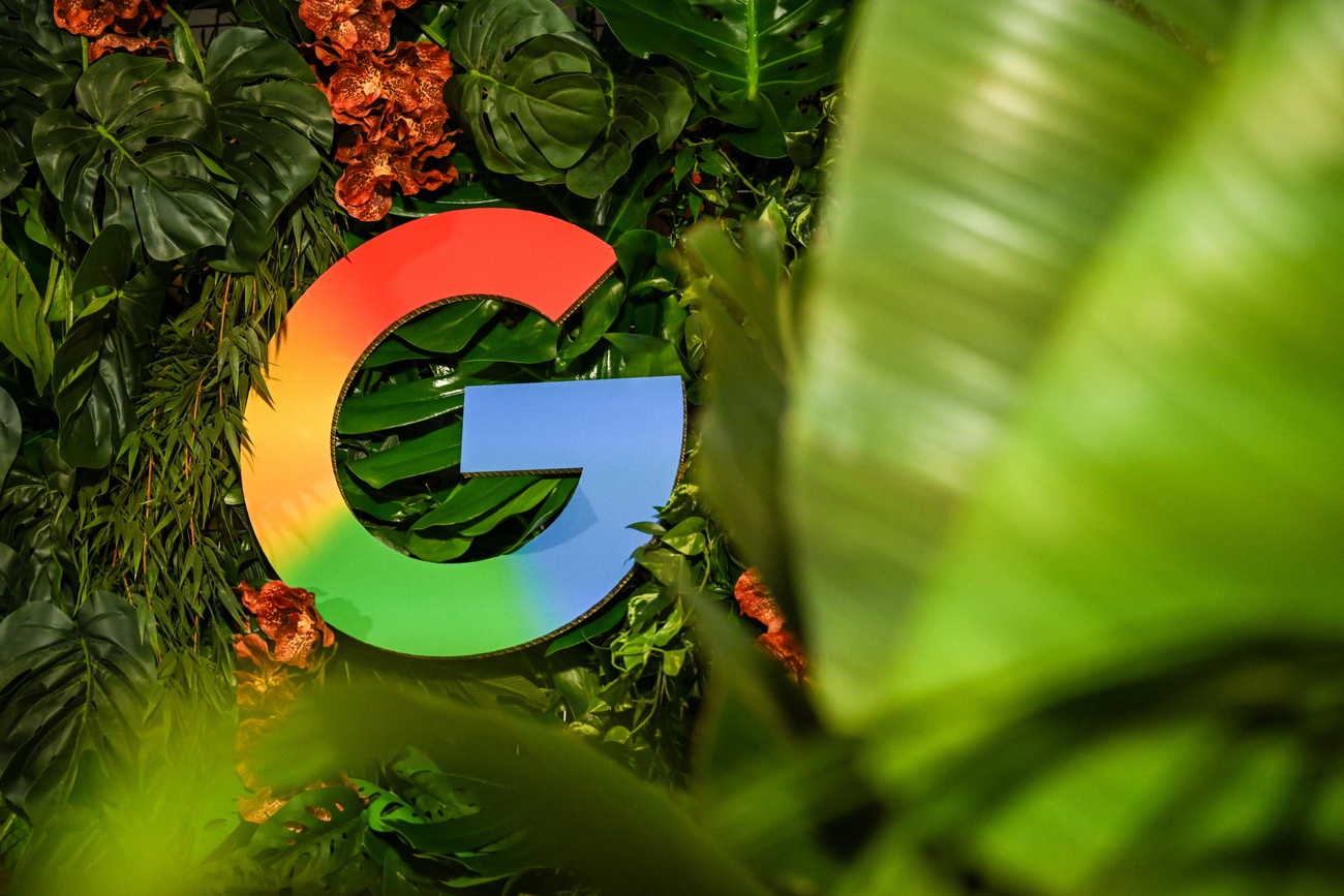 logo google in mezzo a piante verdi tropicali