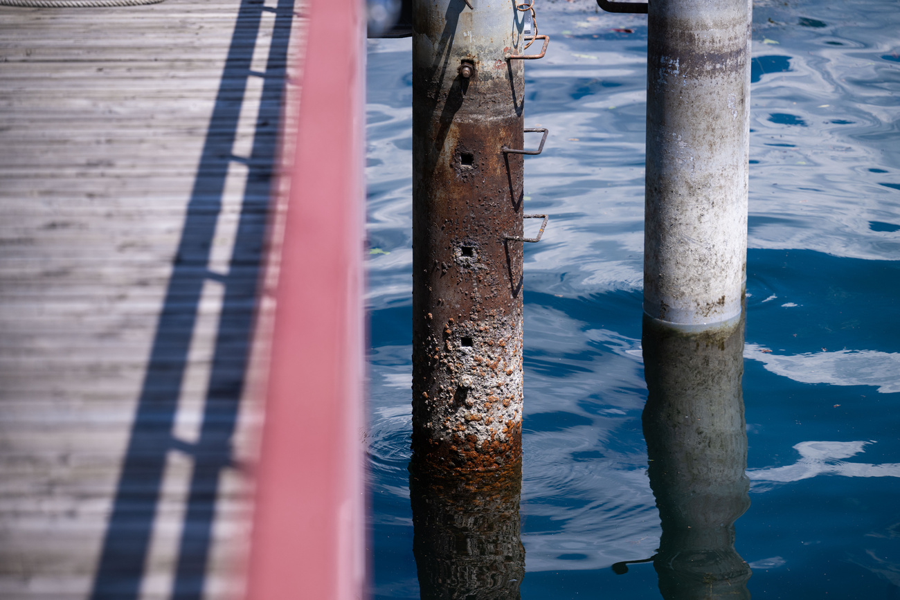 pontile su un lago