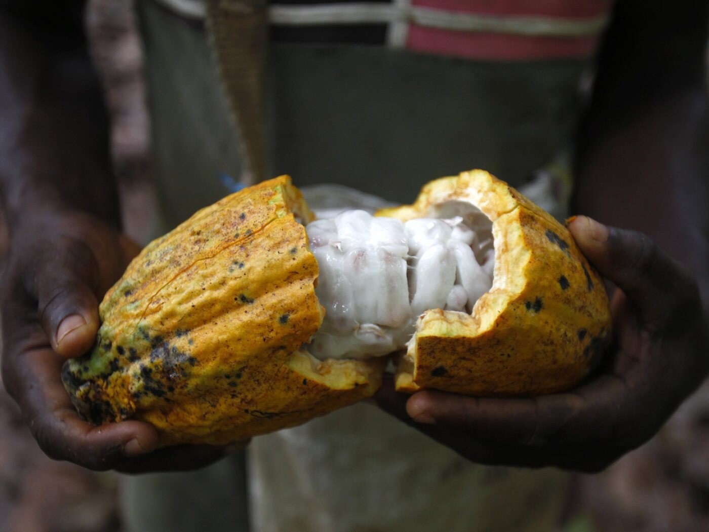 Lindt is facing a complaint regarding child labour