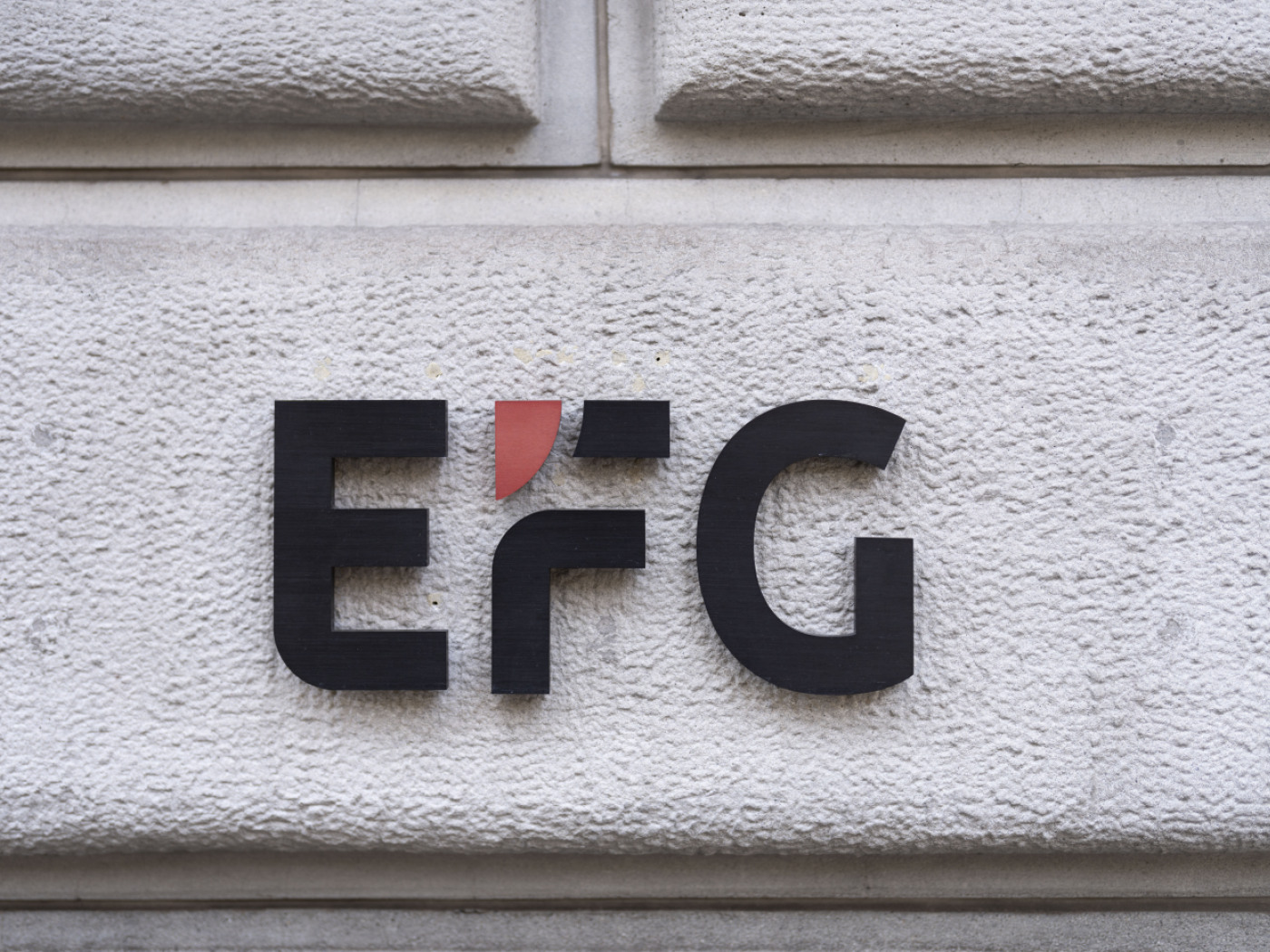 logo efg