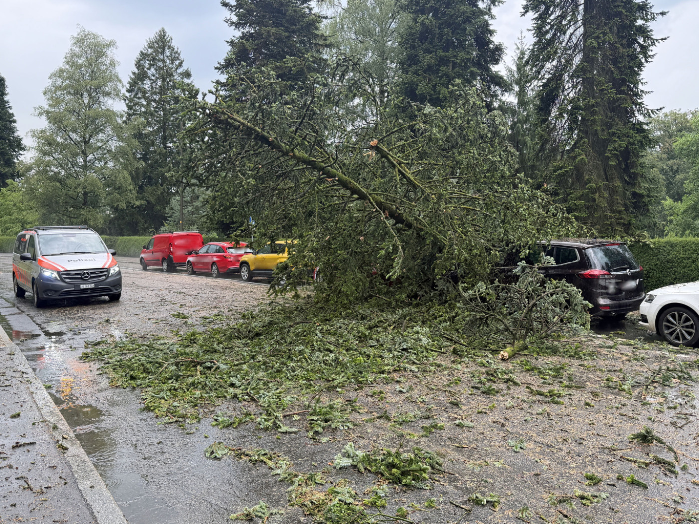 LU: violento temporale, alberi abbattuti e cantine allagate
