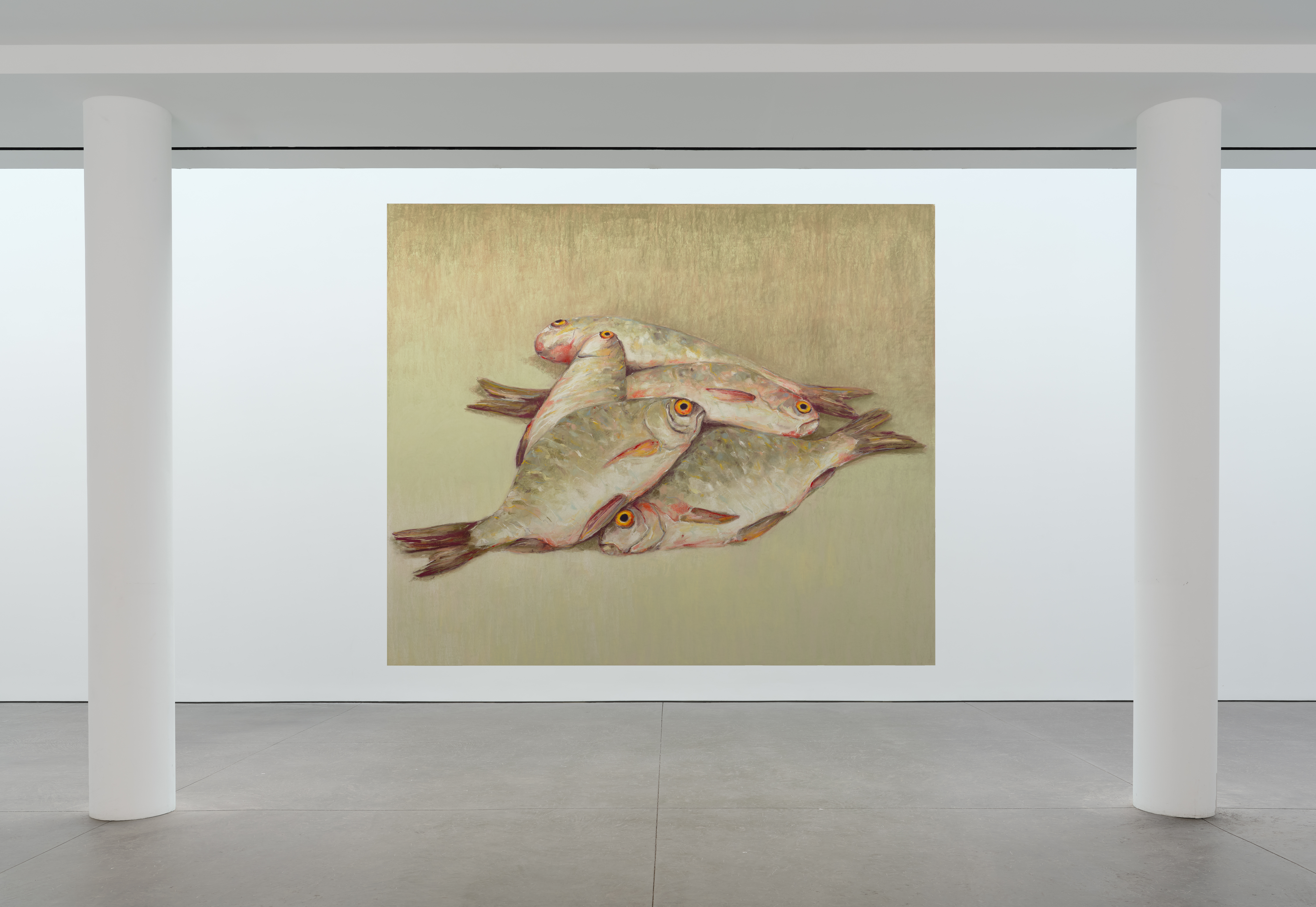 A new ‘family’ of subject are dead fish   Exhibition:  Dead Fish, Karma Gallery in New York, 2026