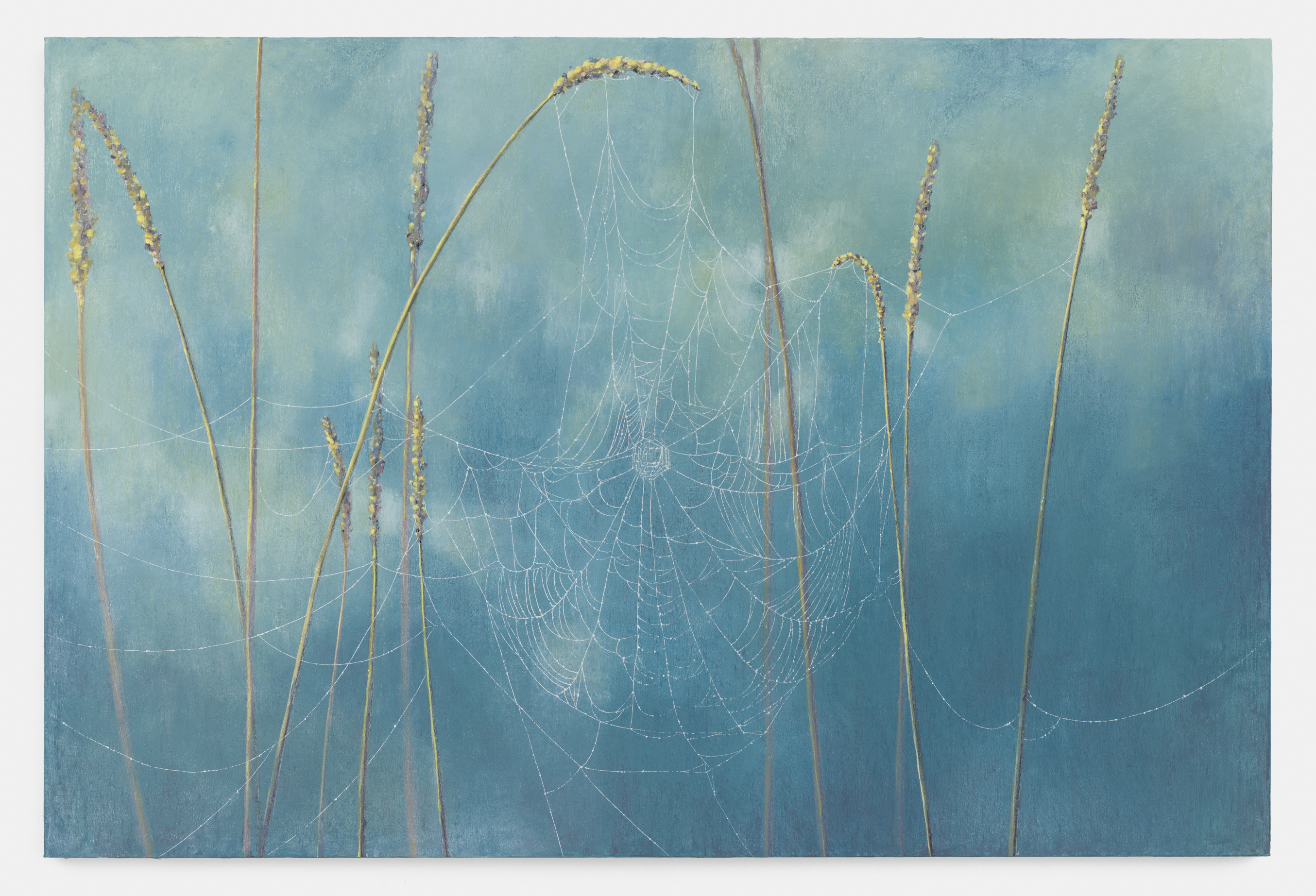 "Spider Web", 2026, artwork that lends its name to Party's current exhibition at gallery Xavier Hufkens, Brussels.