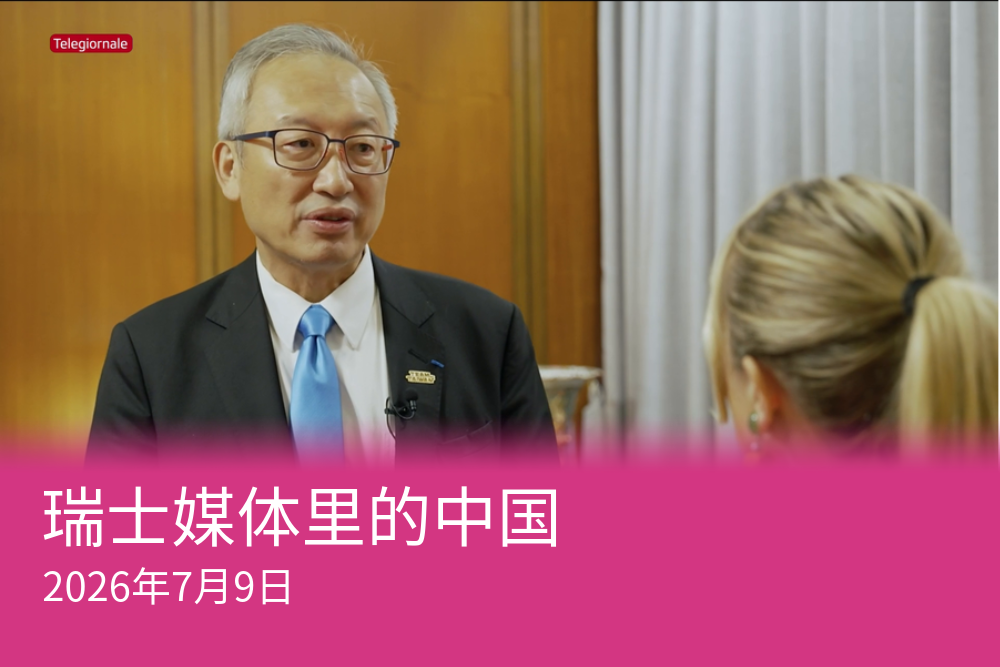 吴志中在接受瑞士公共广播公司RSI采访时表示：“台湾人民热爱瑞士，我们也希望瑞士人同样热爱台湾”。