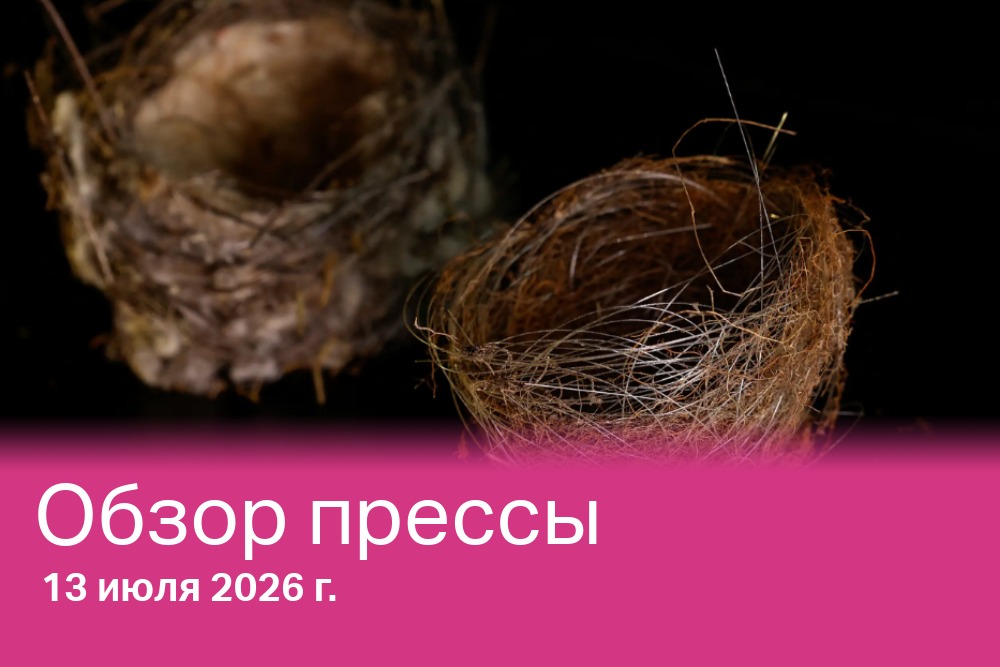 Птичьи гнезда, по свидетельствам украинских солдат, построенные из оптоволоконных кабелей.