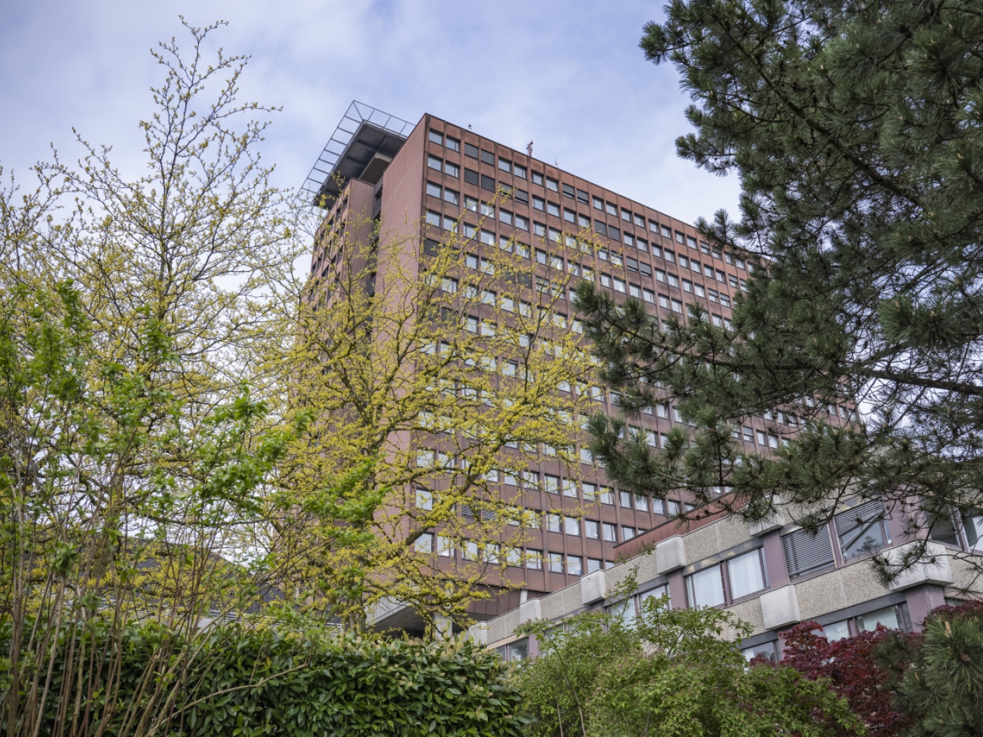 Martha's Rule is to be formally introduced at Lucerne Children’s Hospital