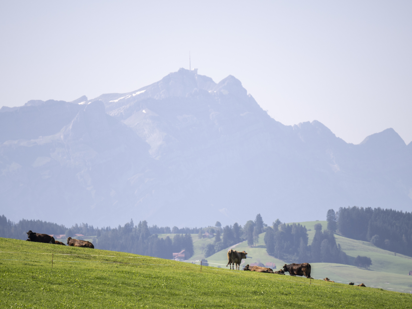 A majority of Swiss people are in favour of regulating PFAS