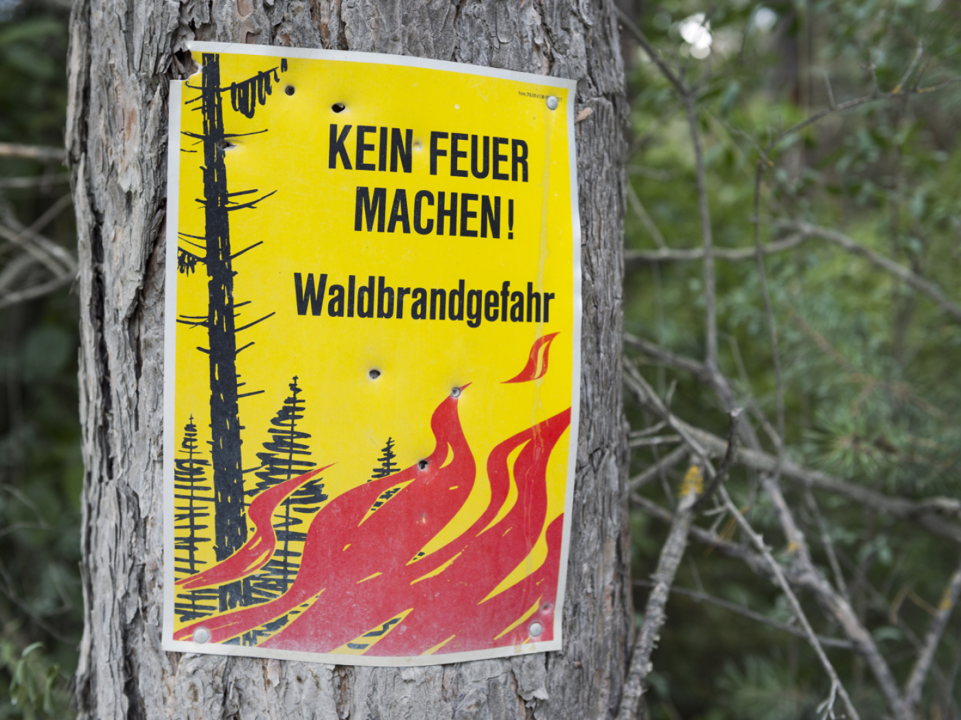 Schwyz imposes a total ban on fires in the forest and on the forest edges