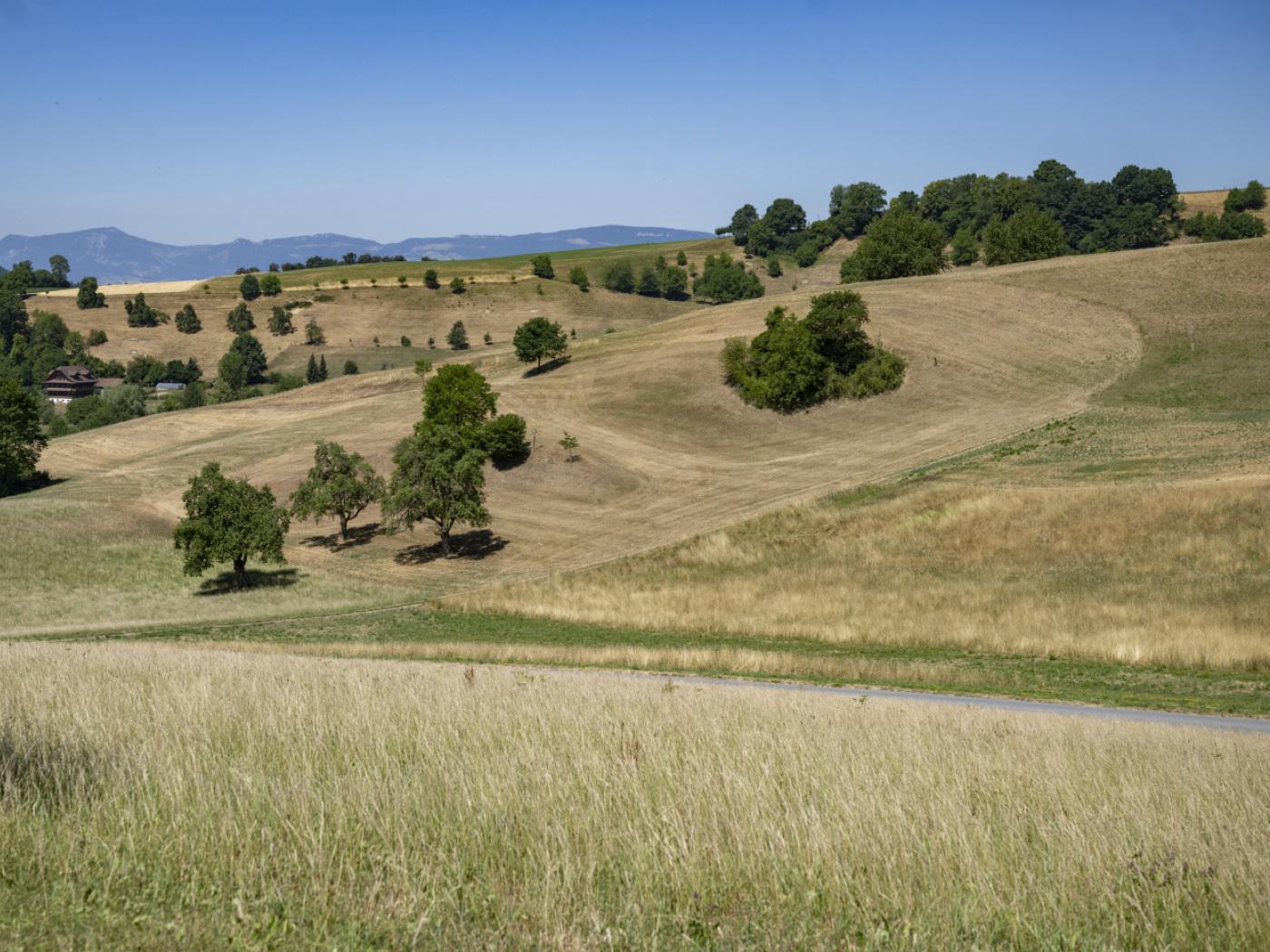 campo secco