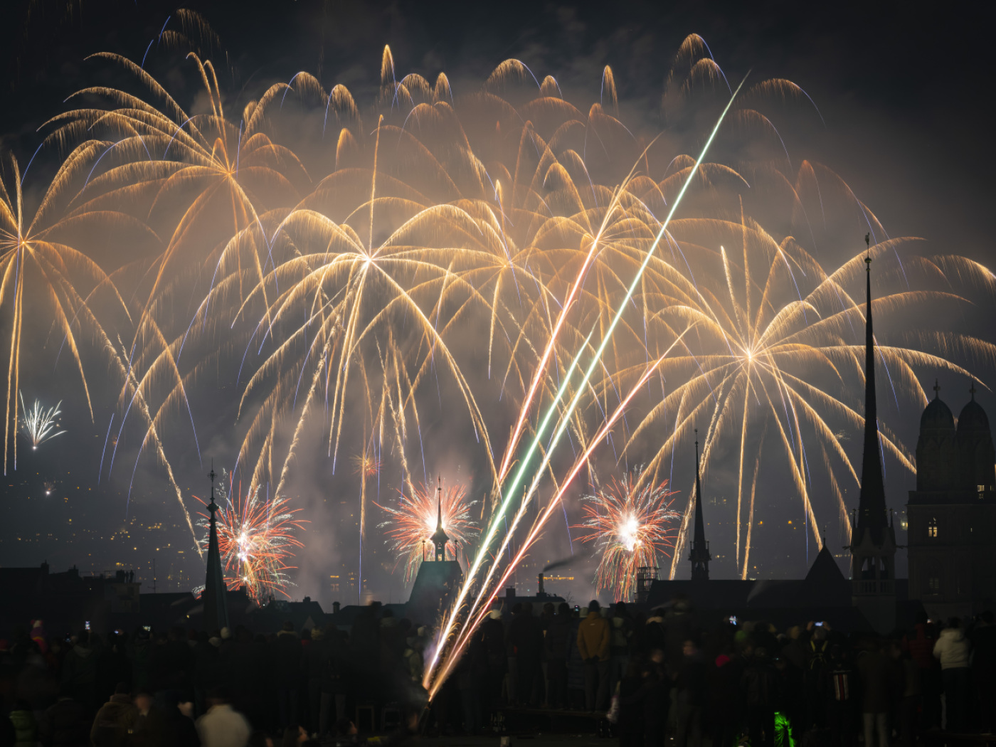Study shows: Birds continue to suffer for days after the fireworks