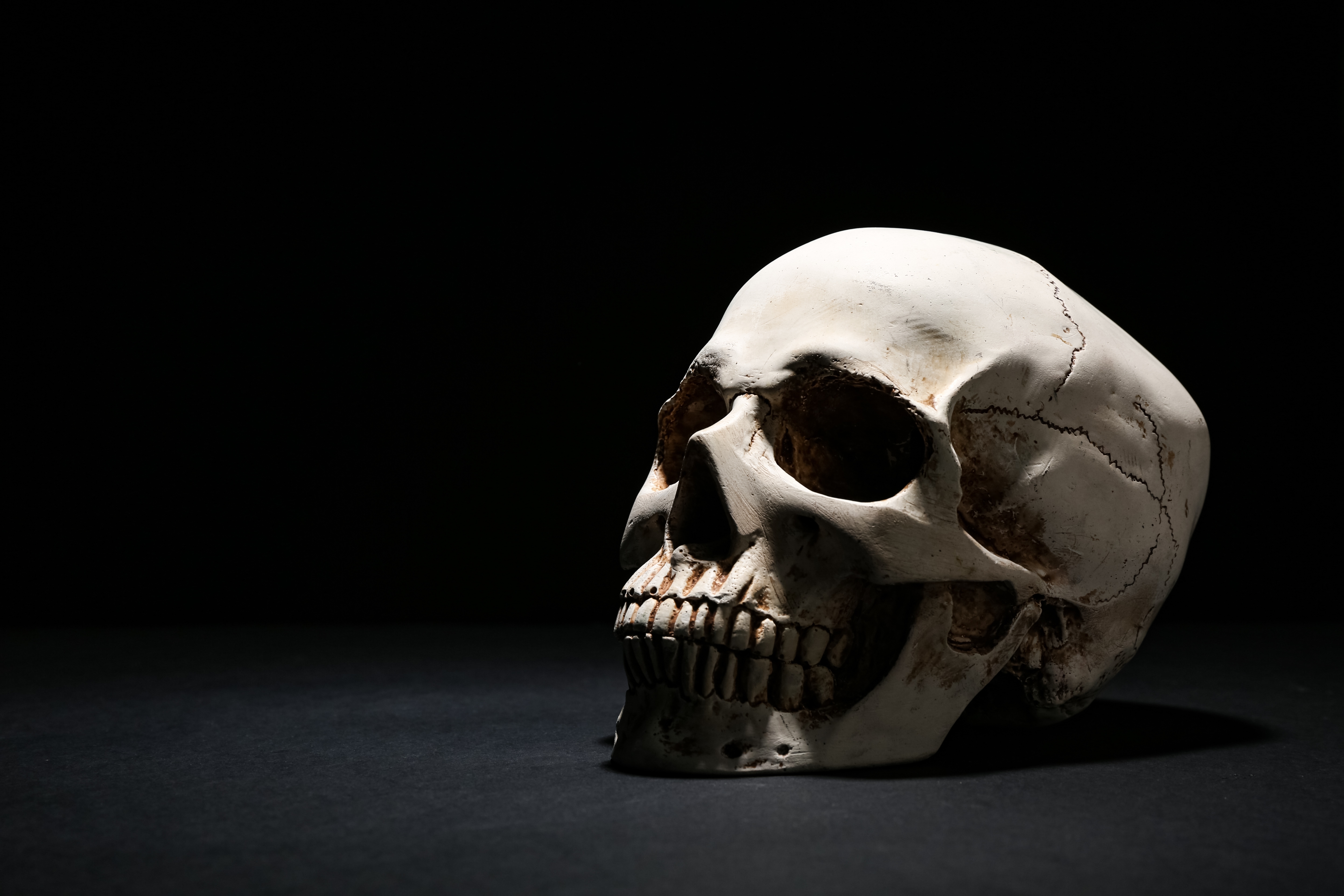 Des crânes et fœtus humains en vente libre sur des sites suisses