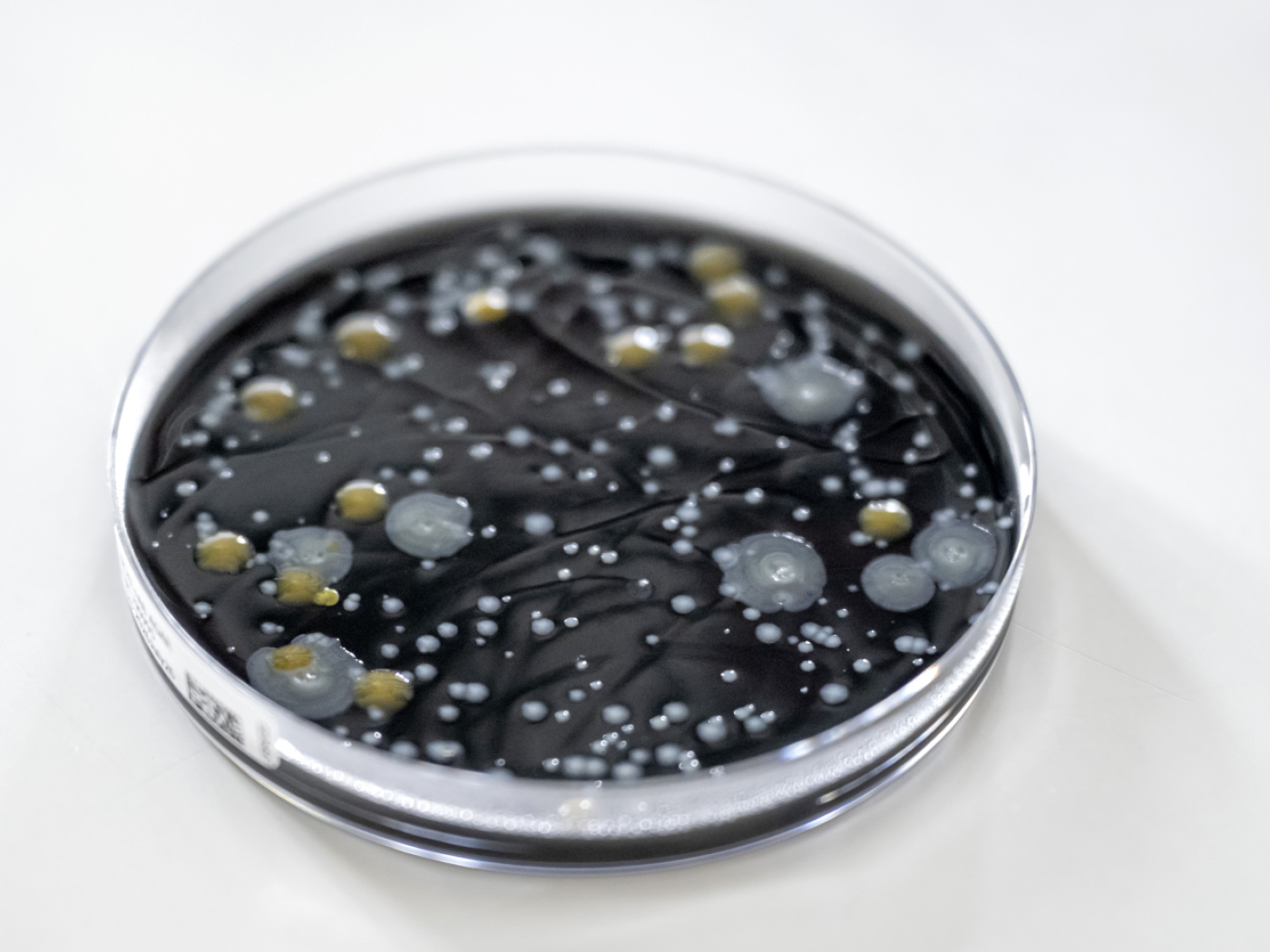 Legionella in Basel: Public Prosecutor’s Office opens criminal proceedings