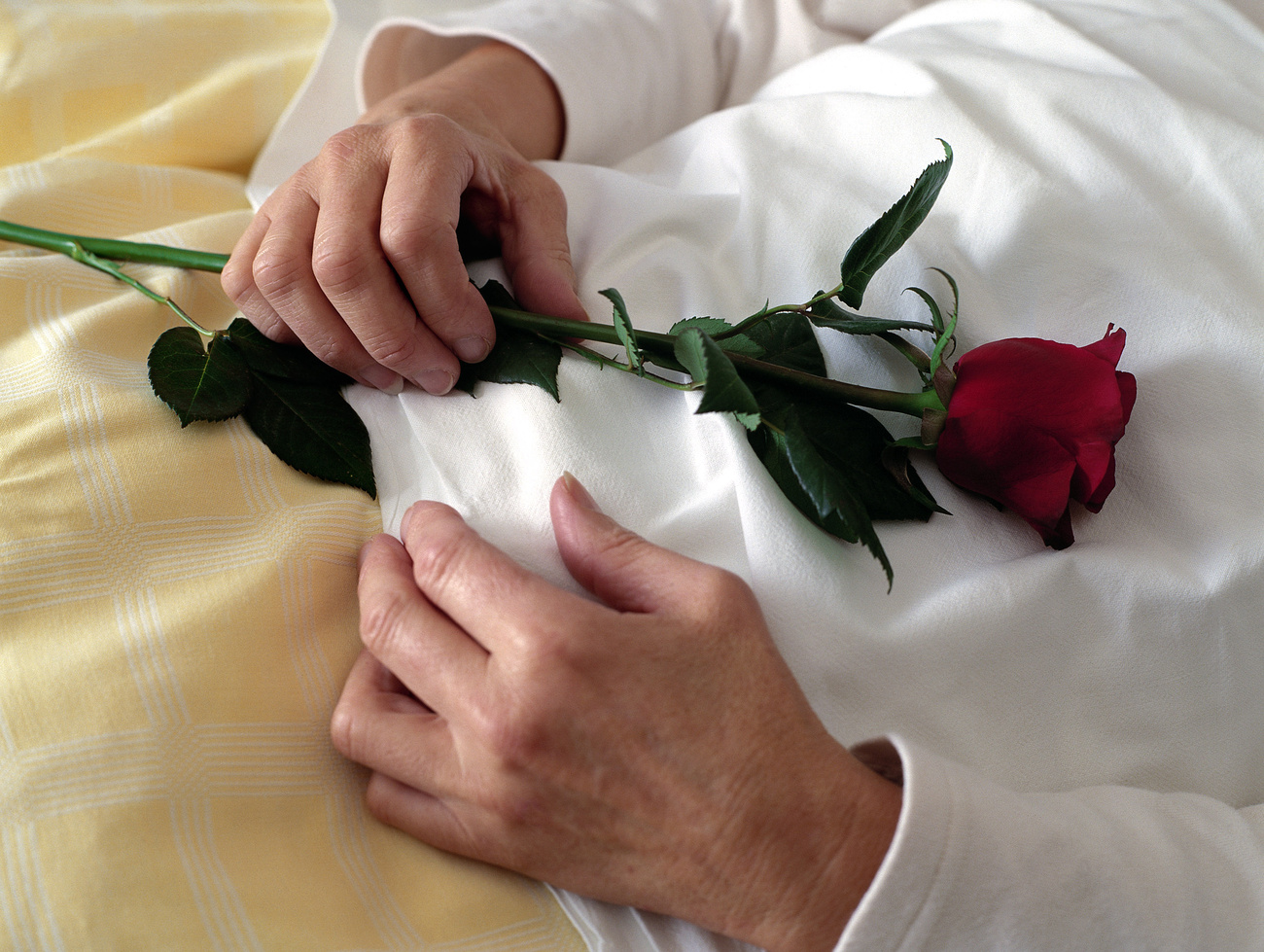 The image shows an elderly person, covered up, lying in bed with a rose in their hand.